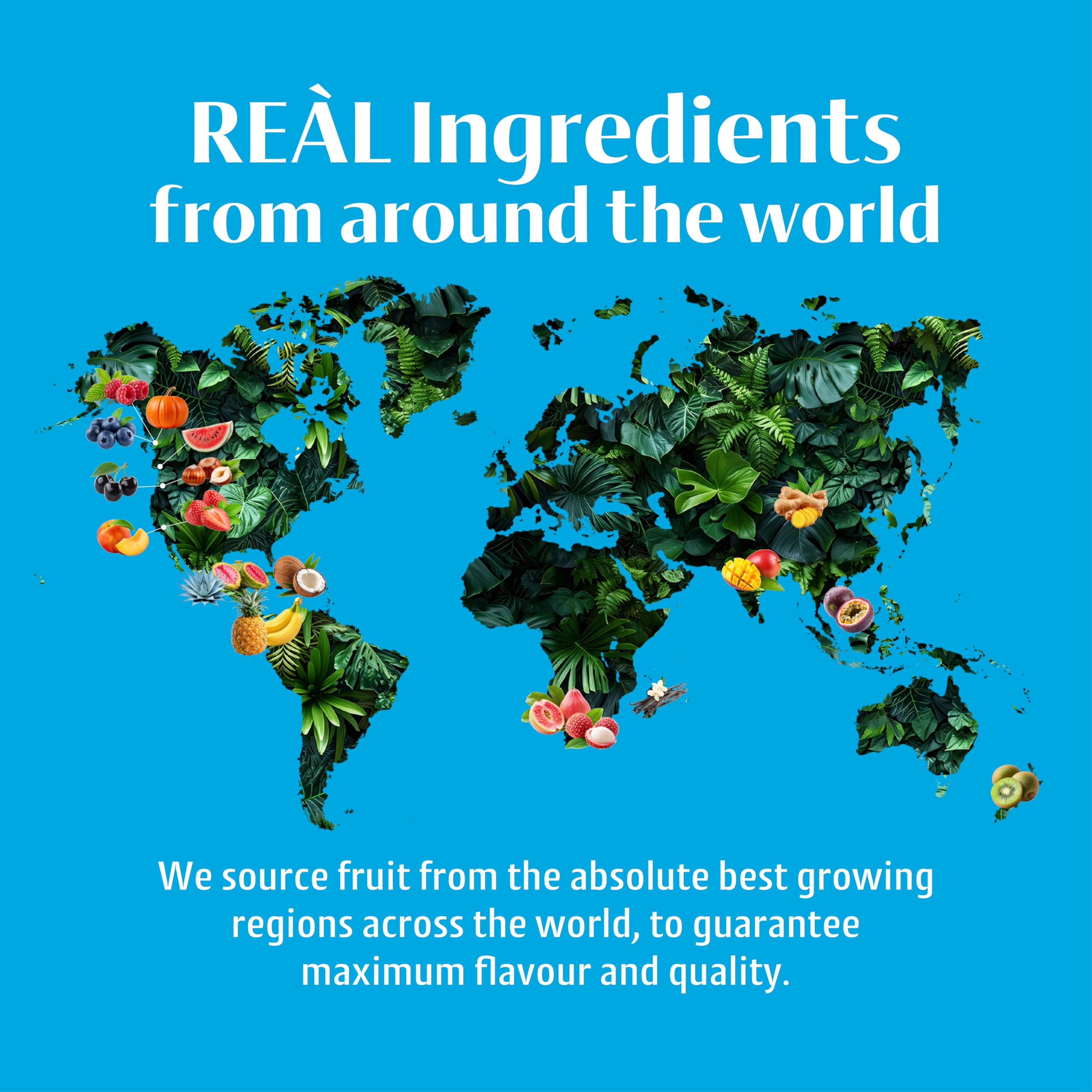 Reàl Infused Exotics - Coco Reàl Cream of Coconut | 500ml Squeezy Bottle 4