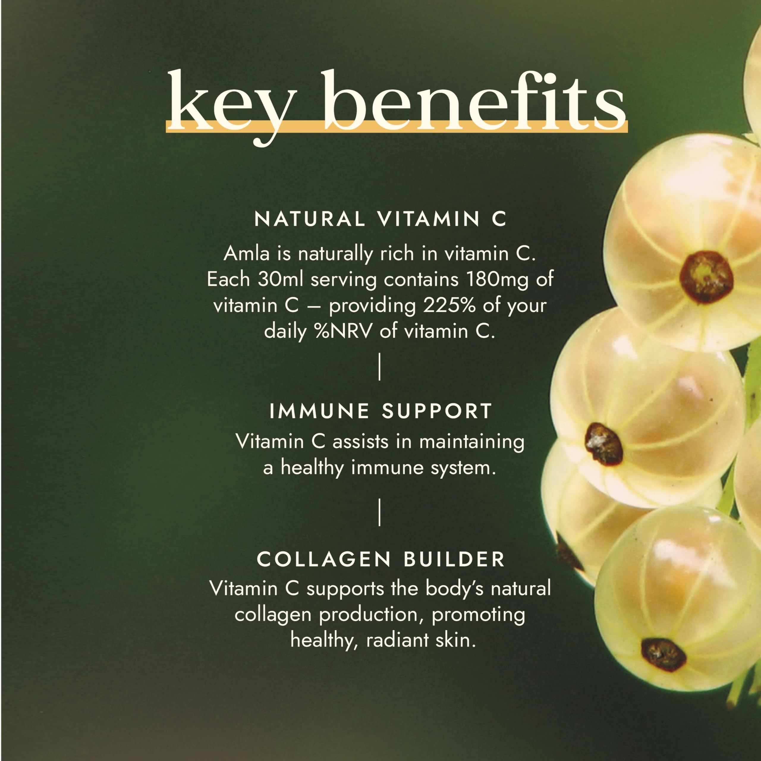 Fushi Amla Juice 500ml | Cold-Pressed Indian Gooseberry Juice | 100% Raw & Unfiltered 5