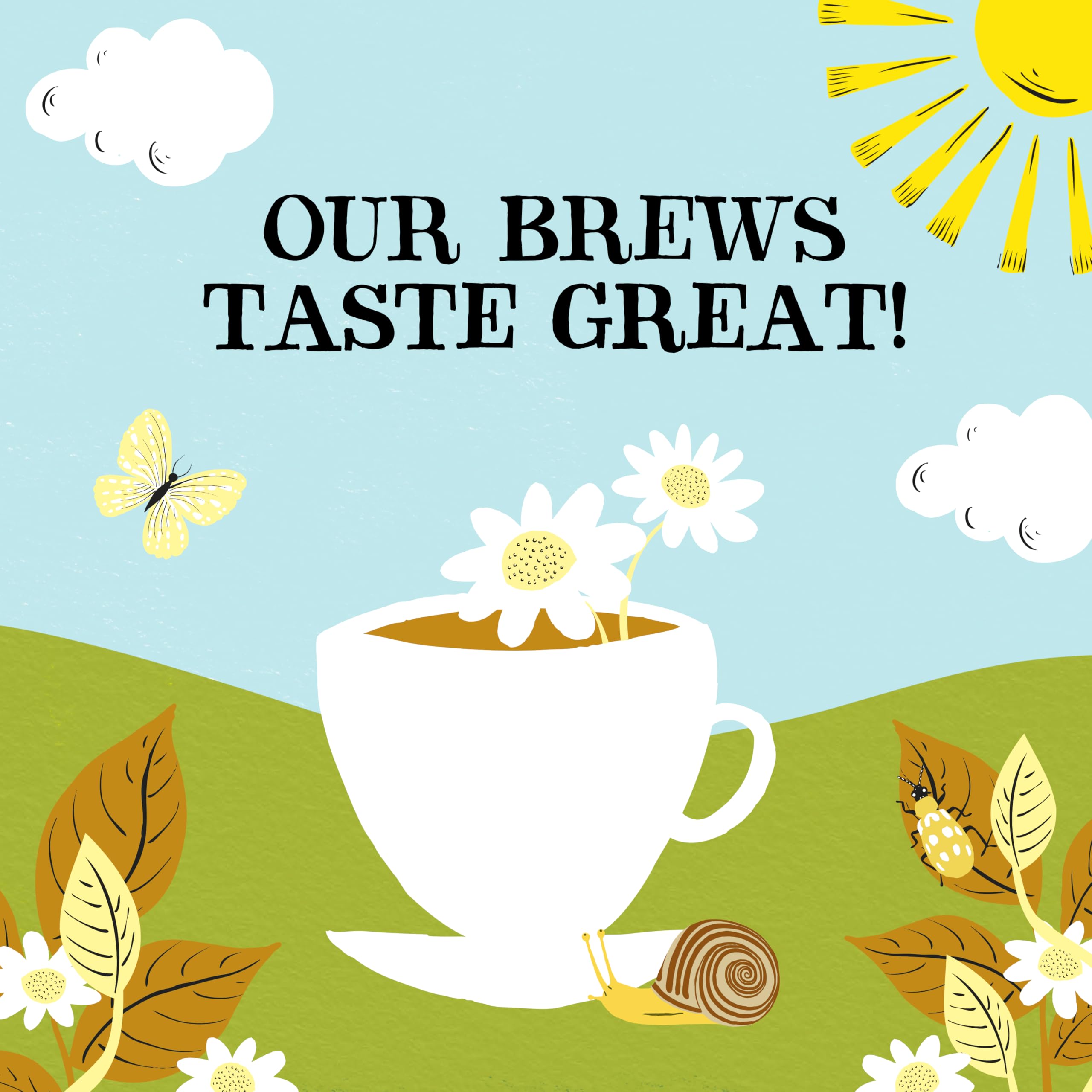 Clipper - Organic Chamomile Tea Bags | 250 Individually Wrapped Fairtrade Infusion Sachets 6