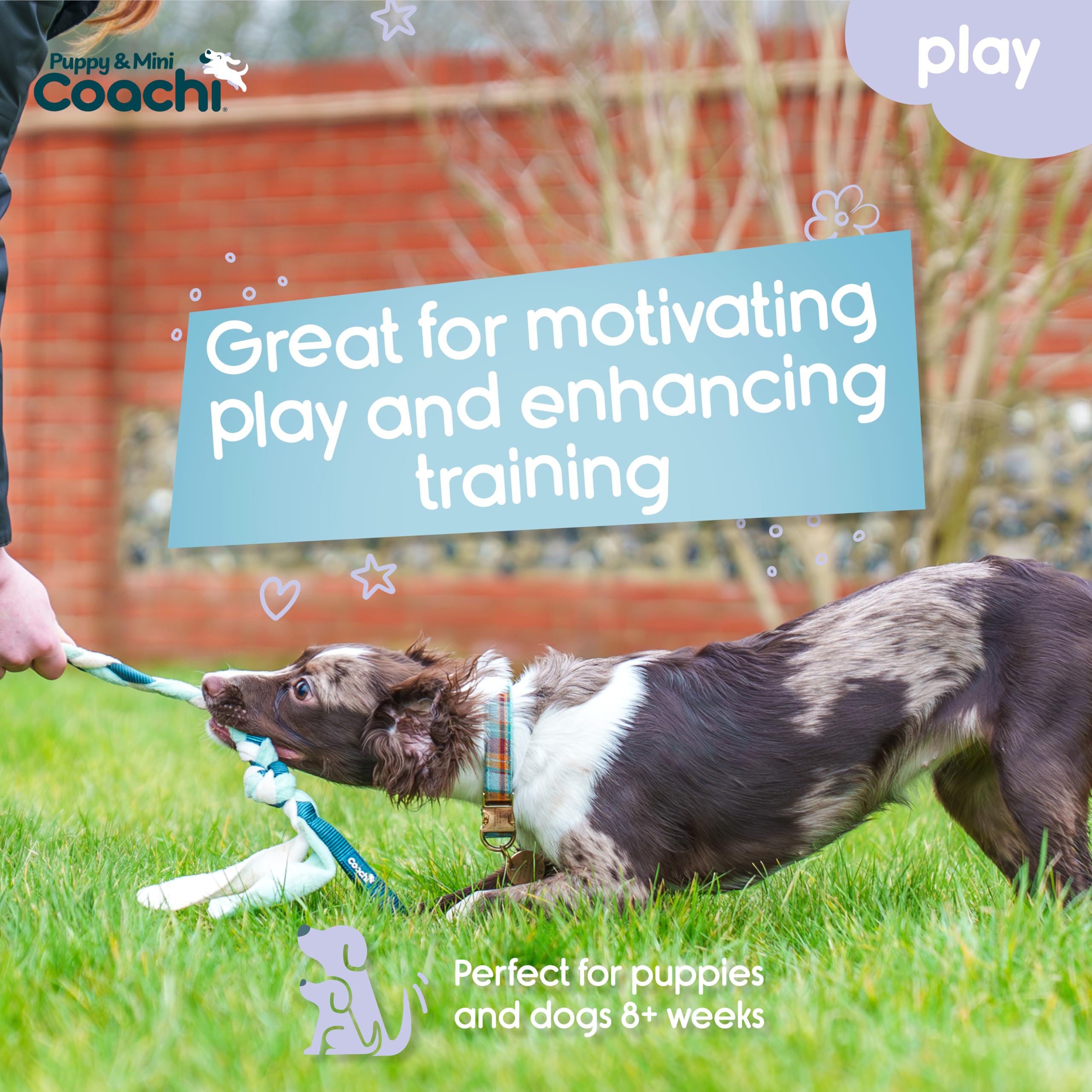 Coachi Puppy & Mini Tuggi Tug - Strong Fabric Tug Toy for Training & Play | Teal & Mint 2