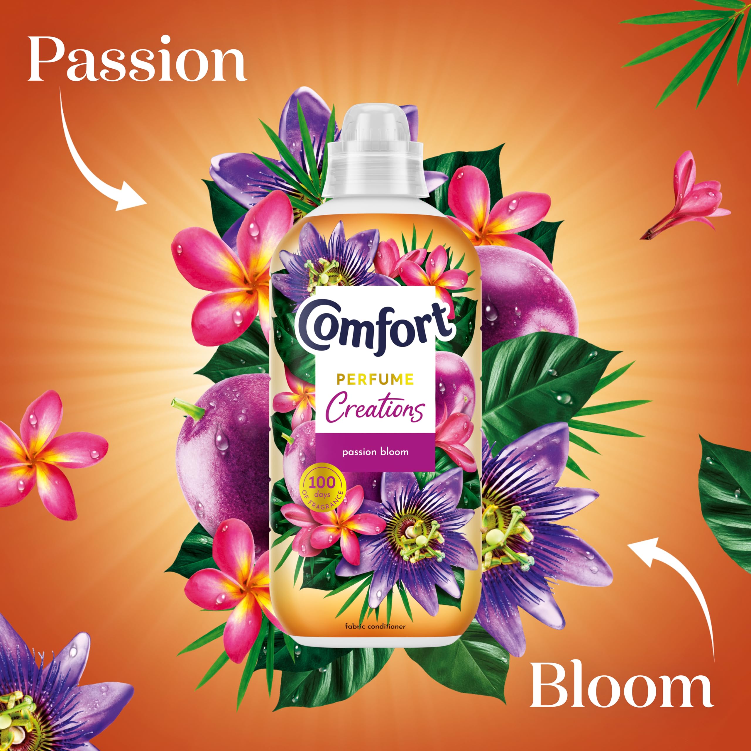 Comfort - Perfume Creations Passion Bloom Fabric Conditioner (900g) 3