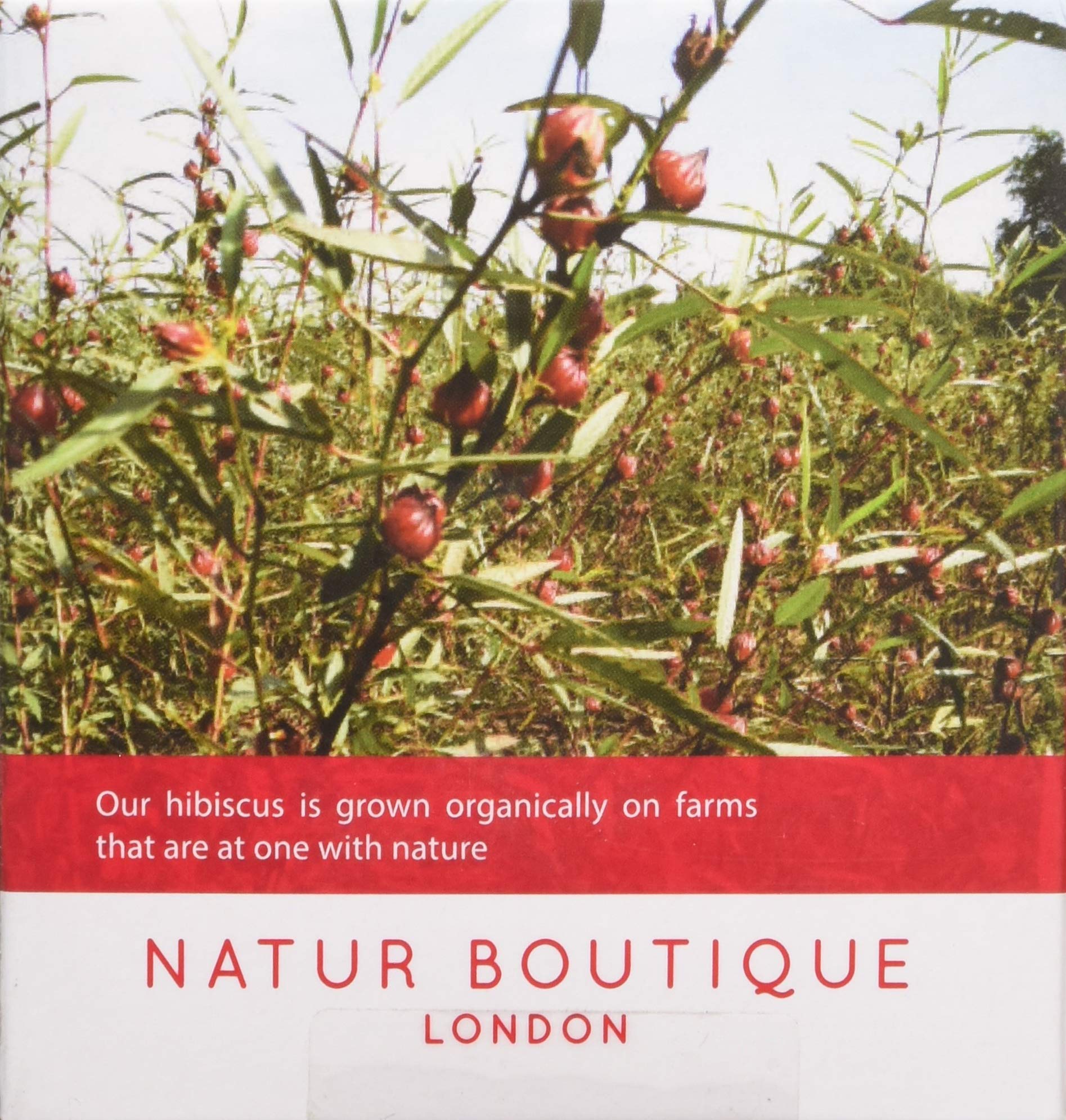 Natur Boutique Organic Hibiscus Tea - 20 Sachets, 30 g