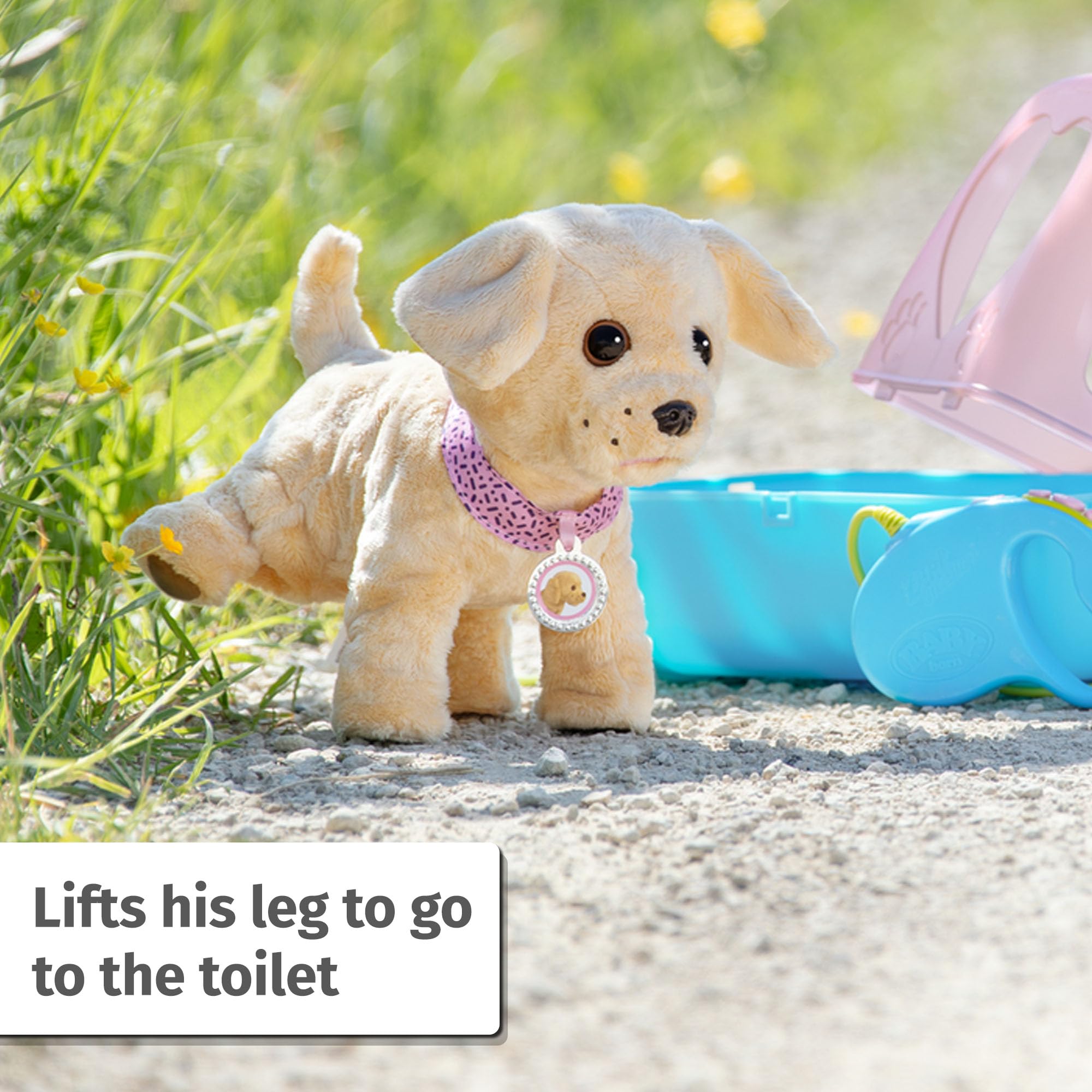 BABY born My Dog Lucky with Carry Box - 5 Realistic Functions, Interactive Playset for Ages 3+ 5