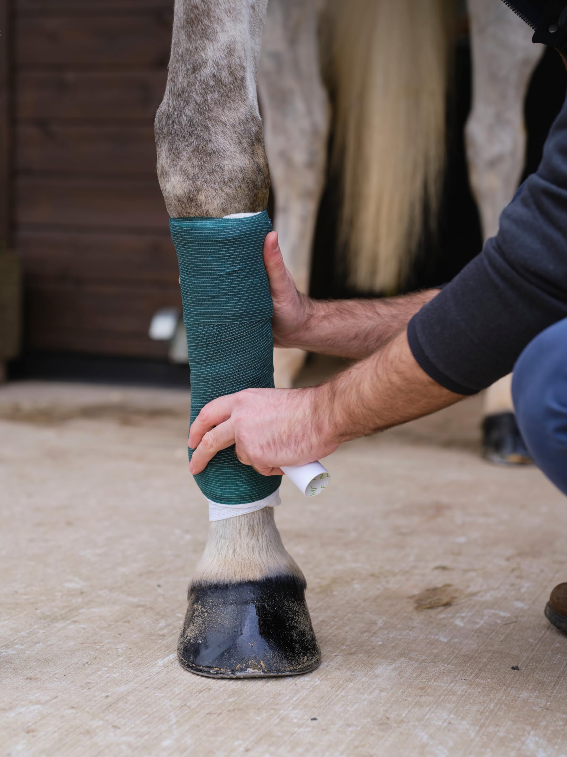 NAF NaturalintX Wraps - Box of 12 Cohesive Bandages for Horses | Self-Adhesive Support 6