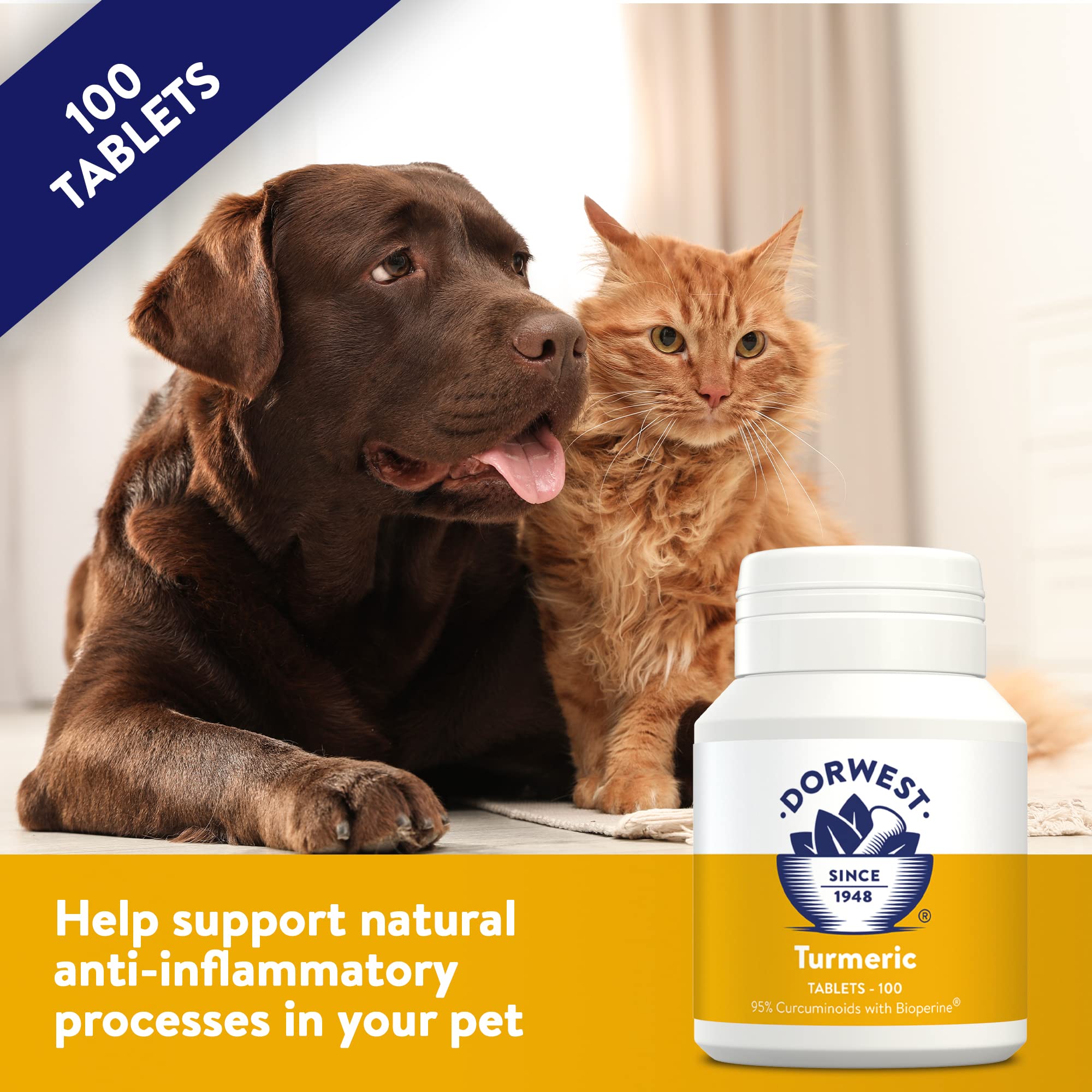 DORWEST HERBS Turmeric Tablets for Dogs and Cats - Joint Support with 95% Curcuminoids | 100 Tablets 2