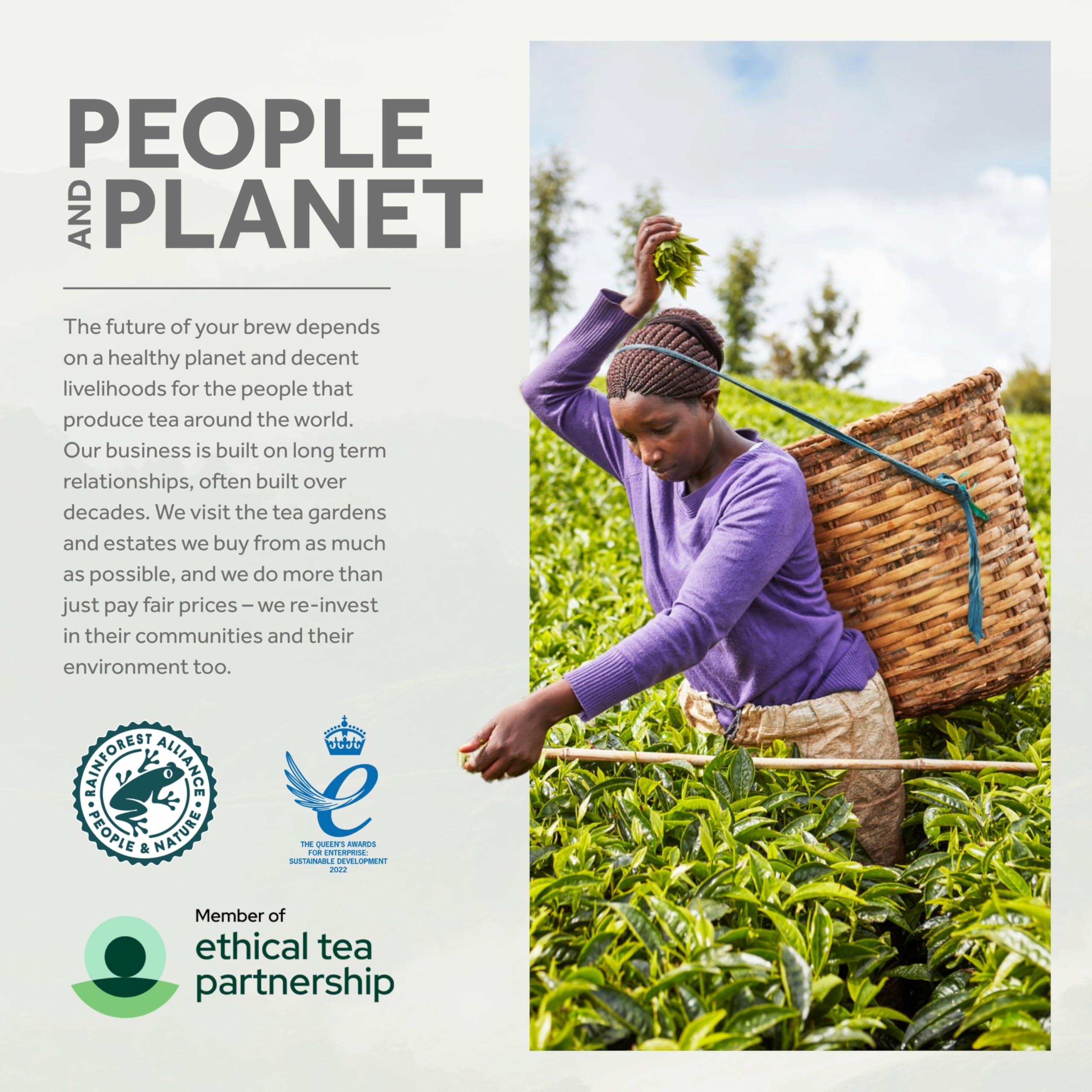 Yorkshire Tea Individually Wrapped Tea Bags, 6 x 20 Bags, 120 Total, Black Tea Blend 5