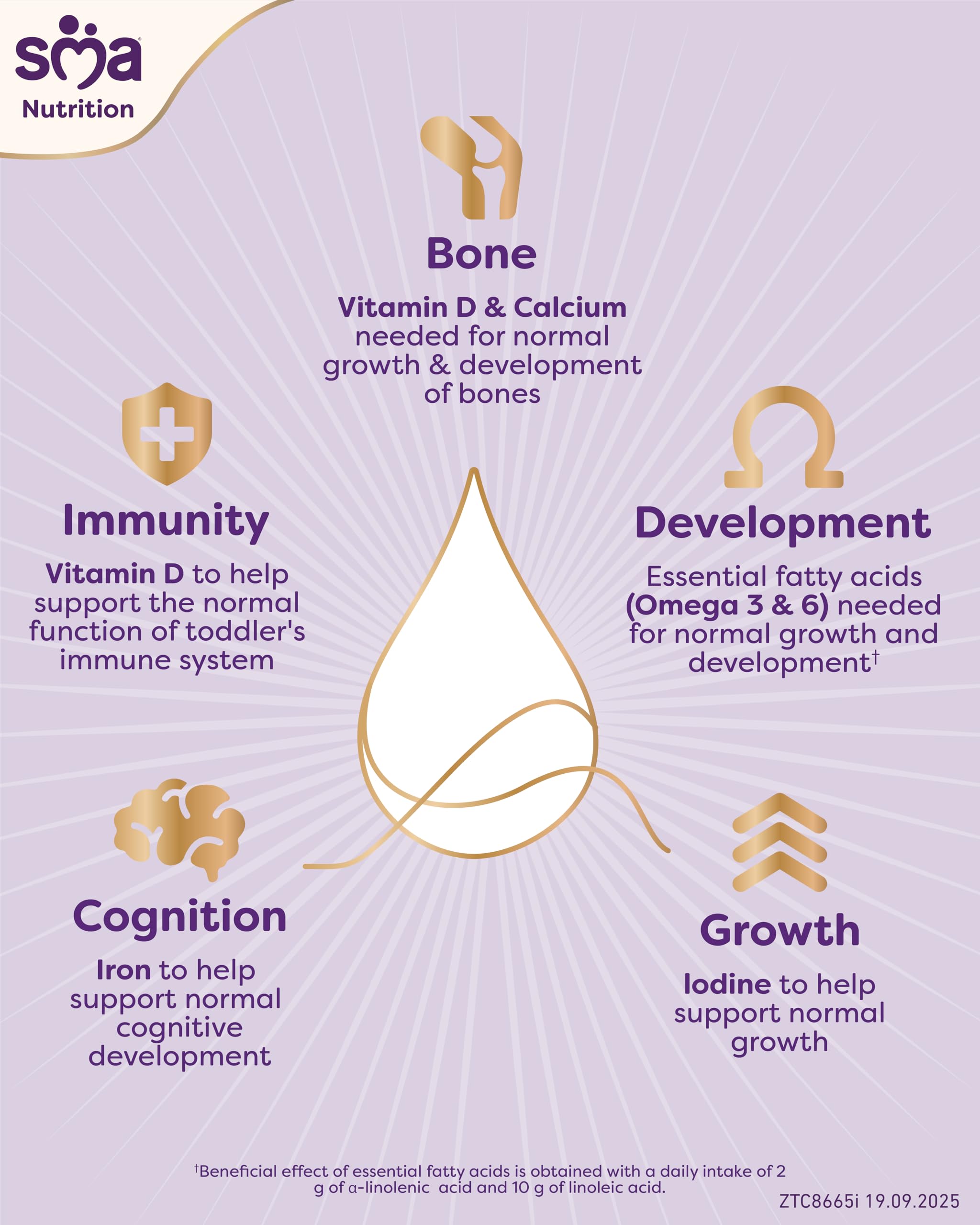 SMA Toddler Milk Powder - 1-3 Years, 800g 5