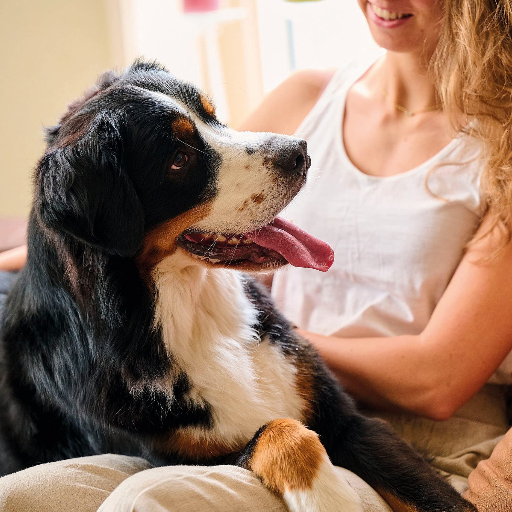 Beaphar Fresh Breath Anti-Plaque Spray with Enzymes & Peppermint Oil for Dogs & Cats | 150ml 5