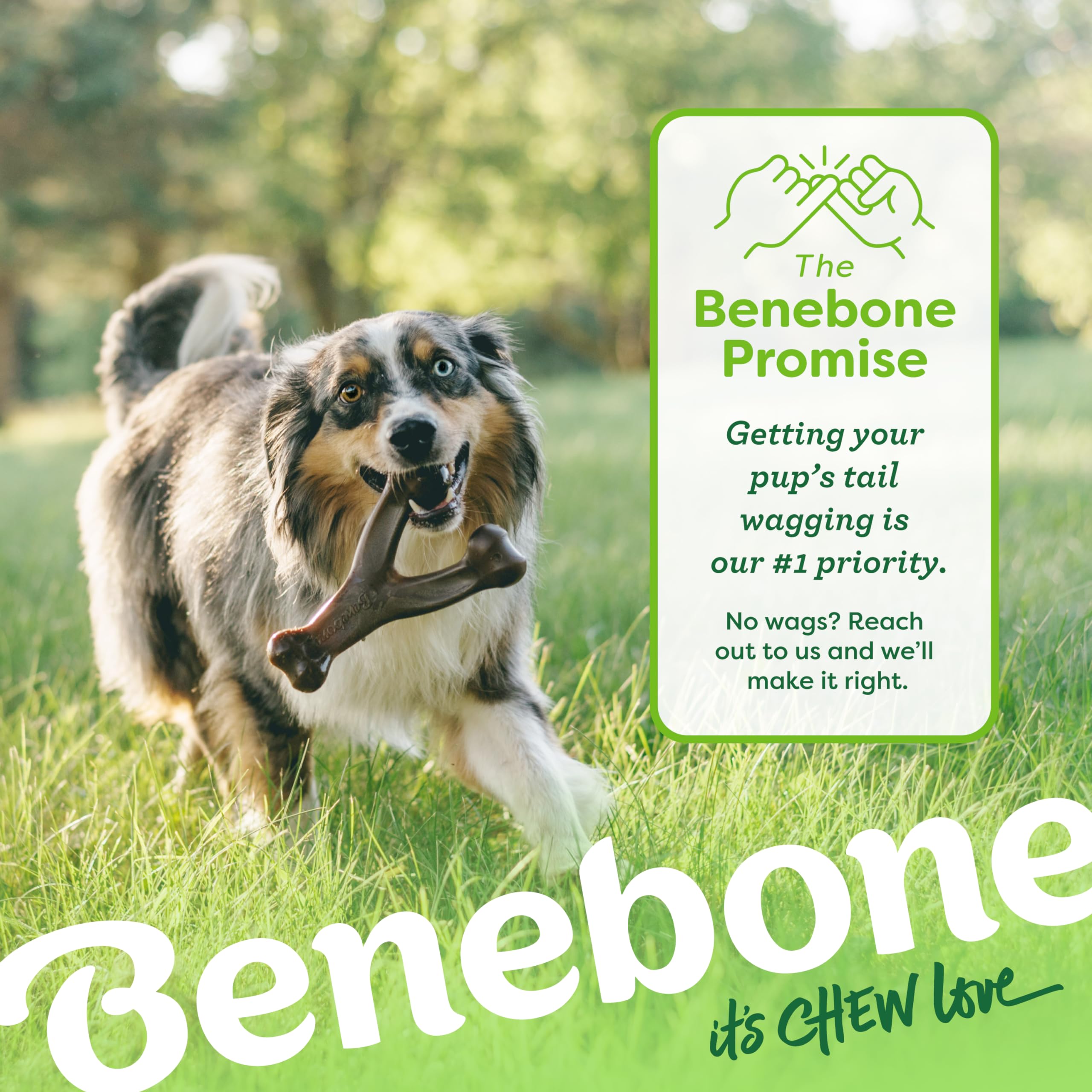 Benebone Indestructible Wishbone Dog Chew Toy - Real Bacon Flavor | Medium Dogs | Heavy Duty Nylon 6