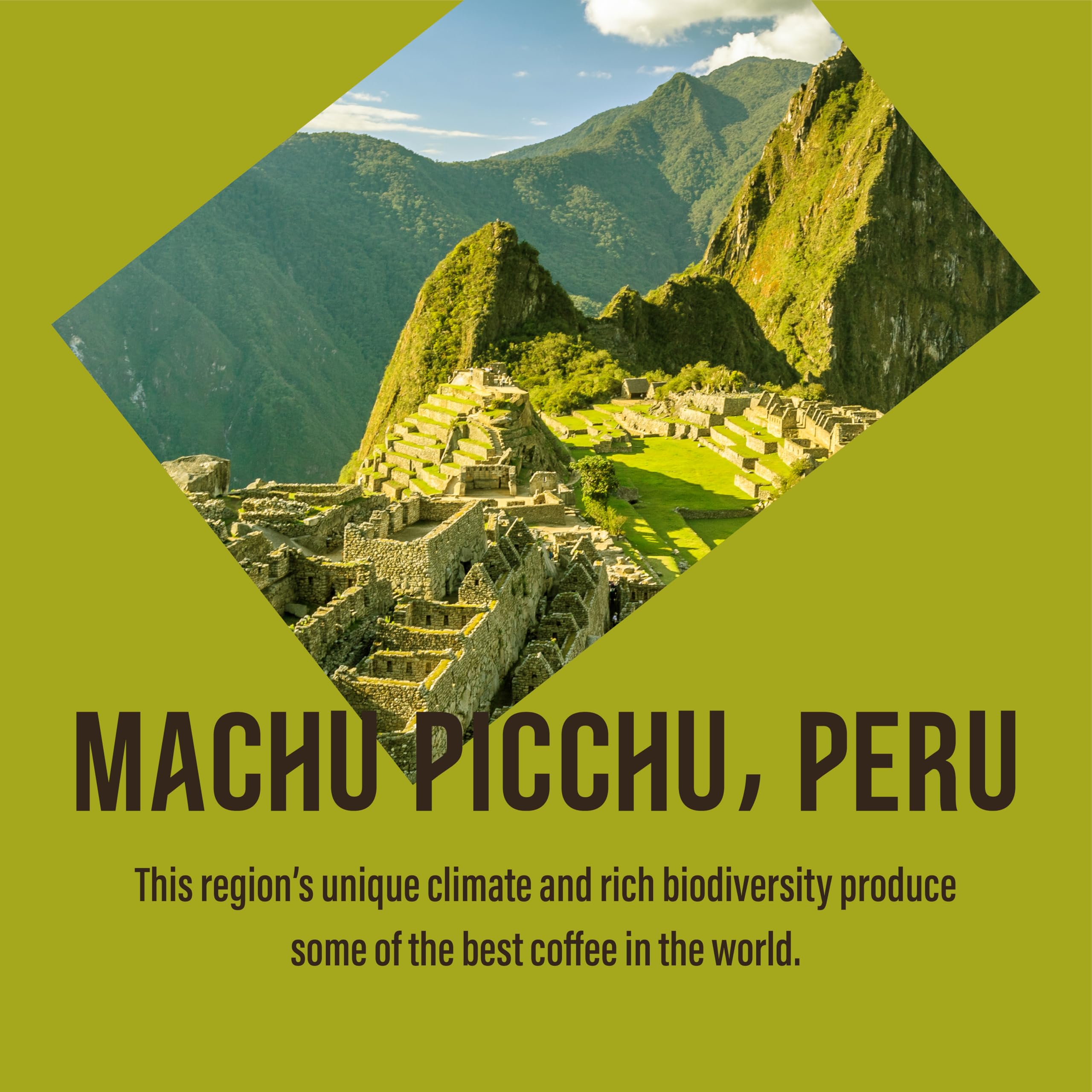 Cafédirect Machu Picchu Fairtrade Arabica Coffee Bags 10 x 7g 5