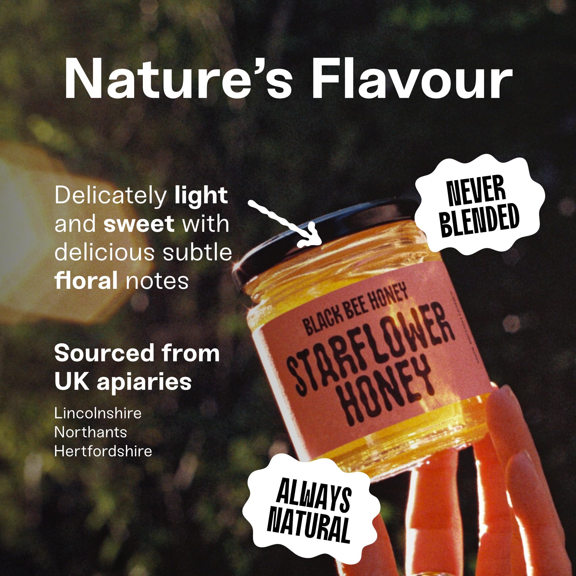 Black Bee Honey - Starflower Honey Pure British Borage Light Sweet and Floral 4