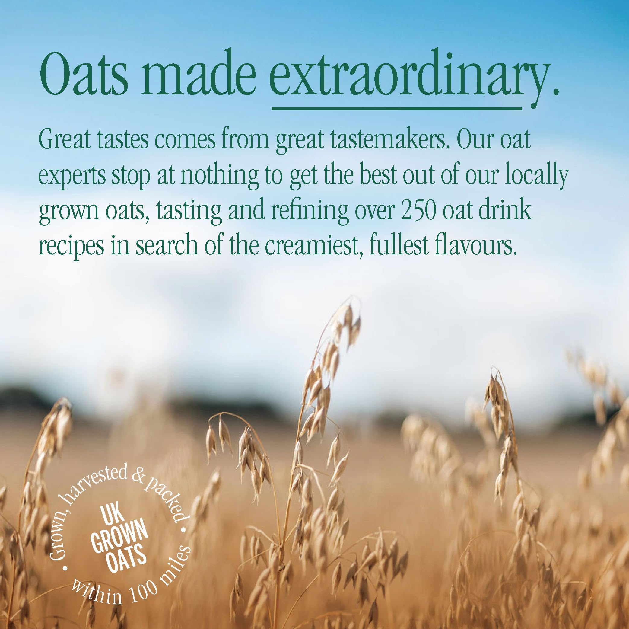 MOMA Pistachio Flavoured Oat Drink - 1L - Plant Based & Vegan - Not From Concentrate 15