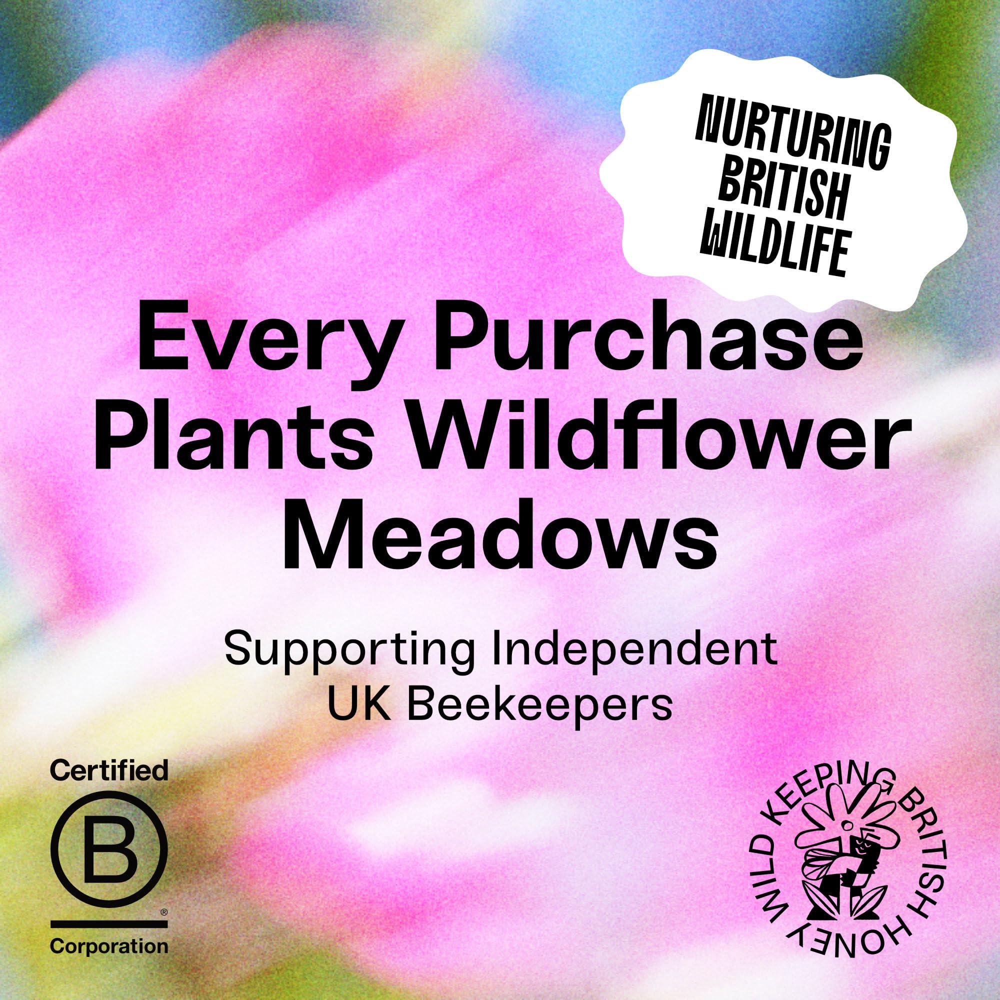 Black Bee Honey - Pure British Spring Soft Set Honey, Creamy and Lightly Sweet 4