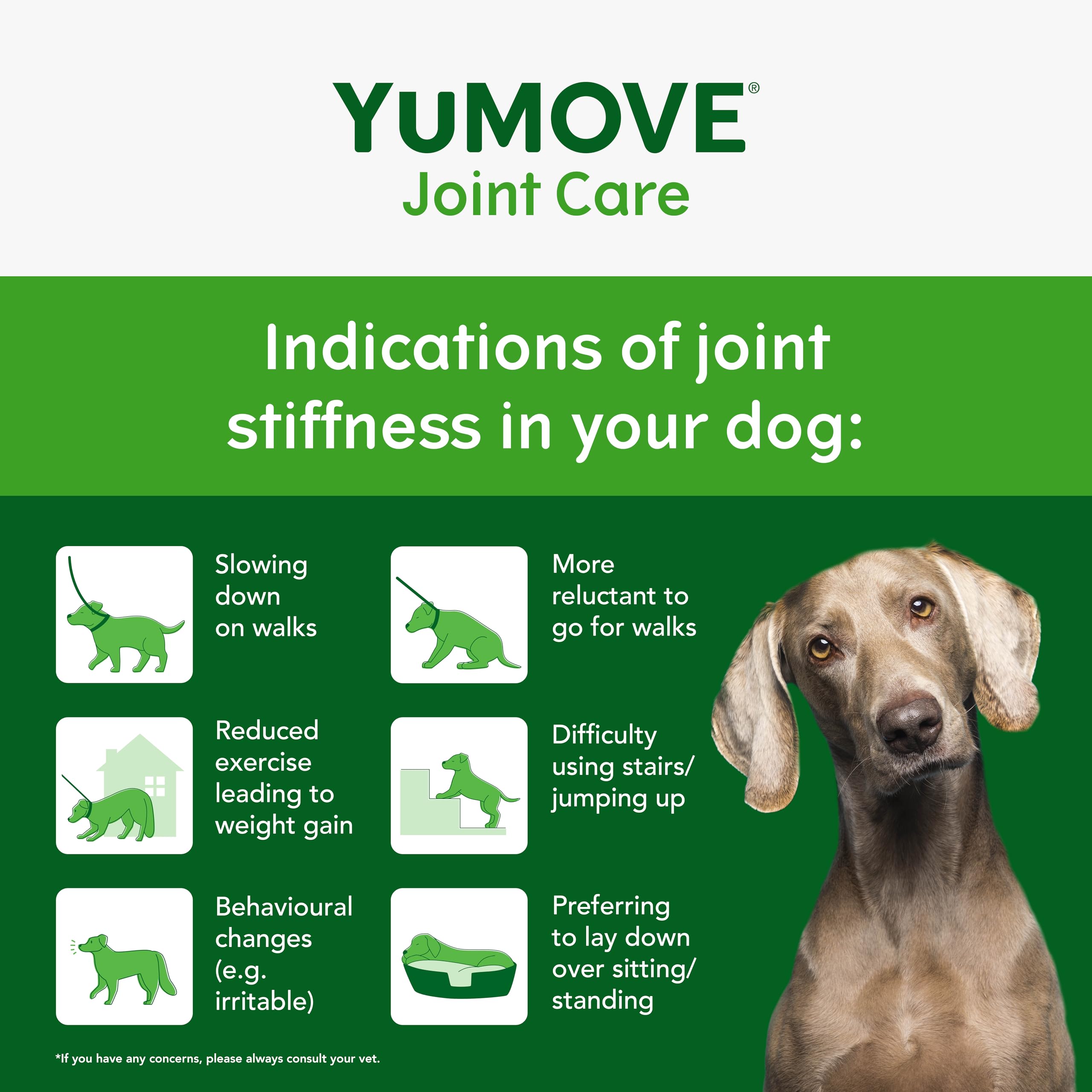 YuMOVE Joint Supplement for Dogs - Daily Bites for Joint Care | 150 Chews 3