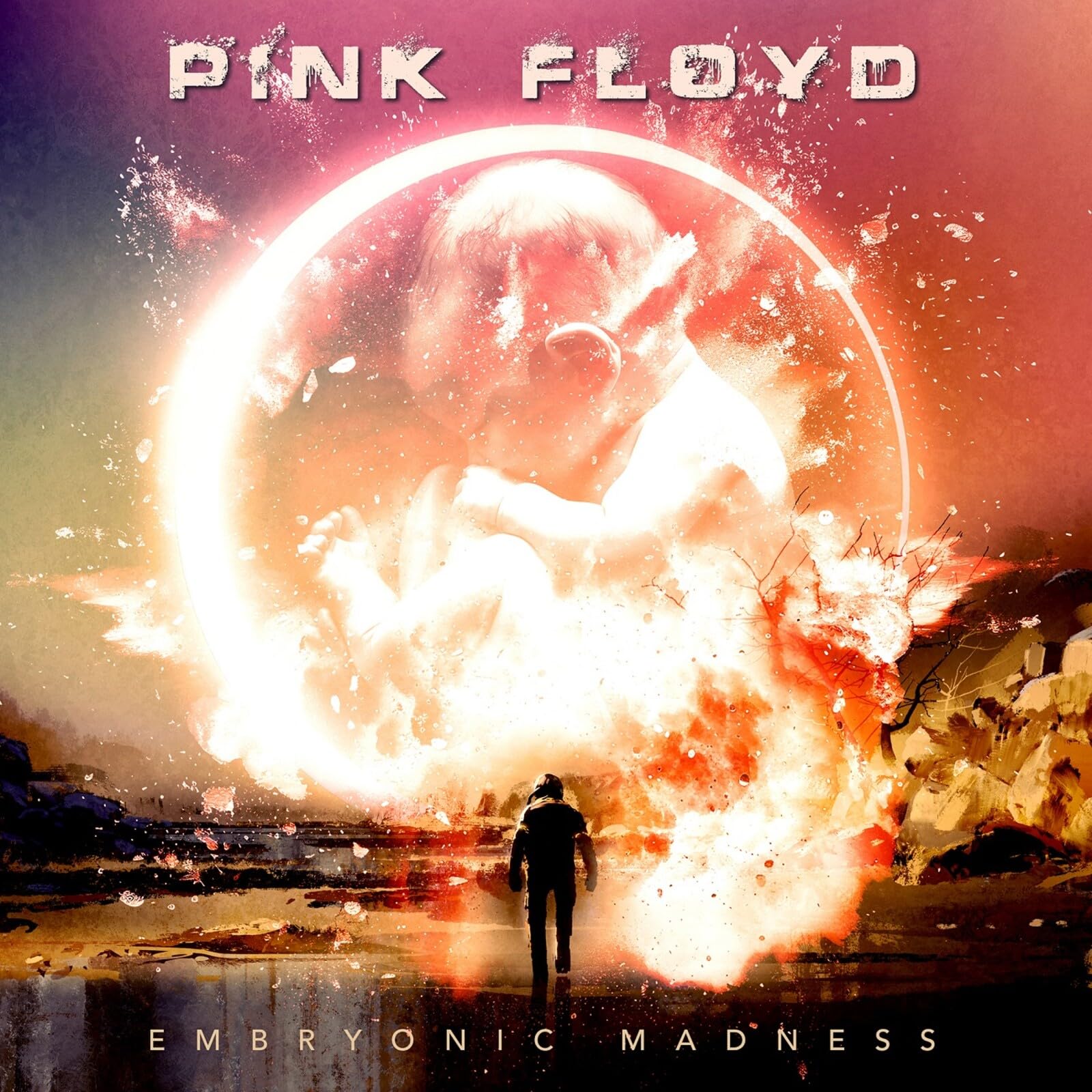 Pink Floyd - Embryonic Madness Audio CD