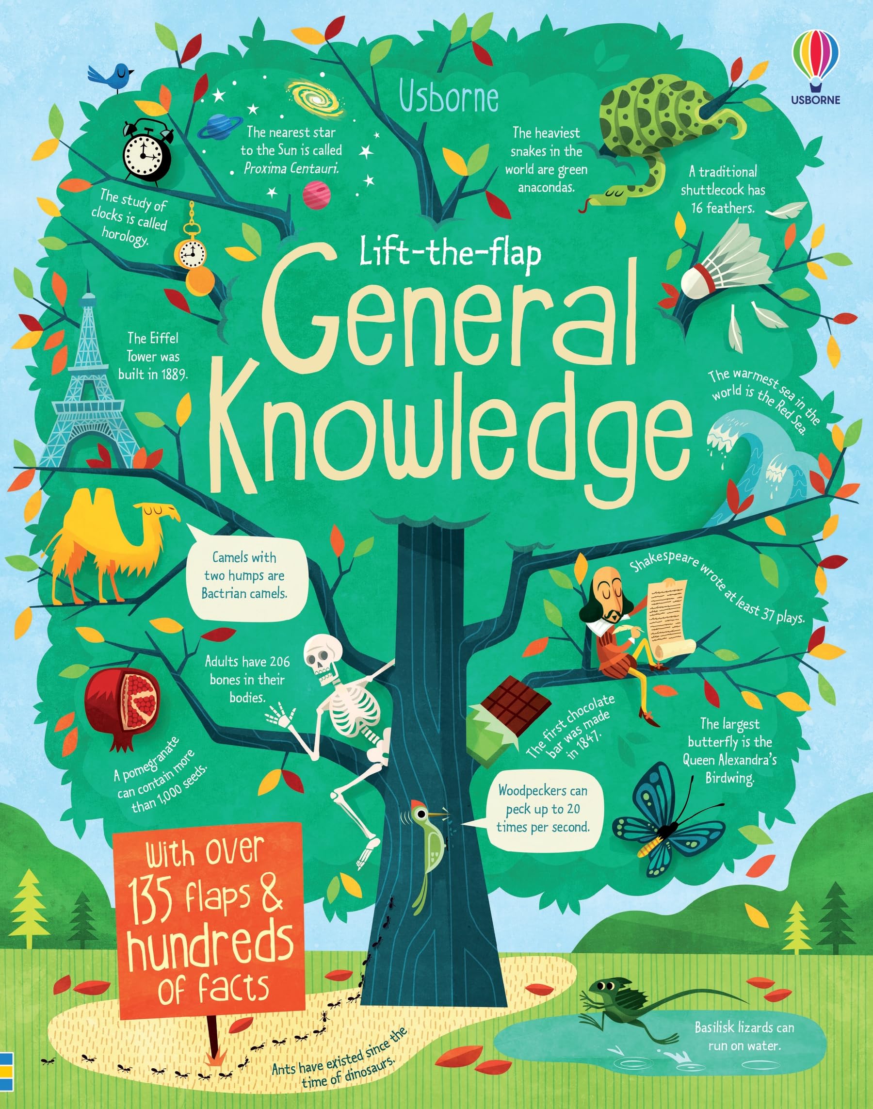Usborne Lift-the-Flap General Knowledge - Board Book | Ages 4-7 1