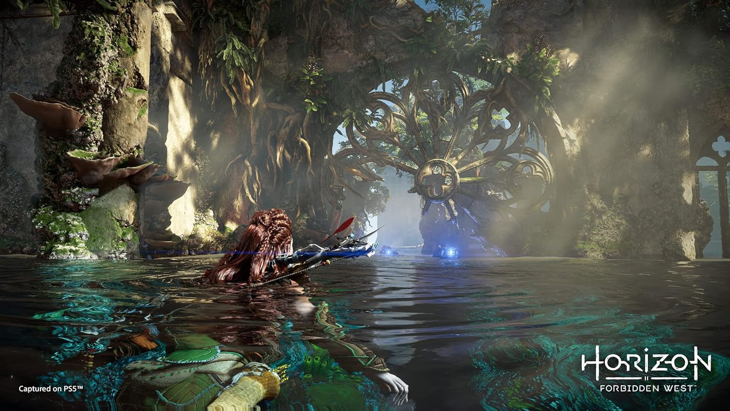 Horizon Forbidden West - PS5 3