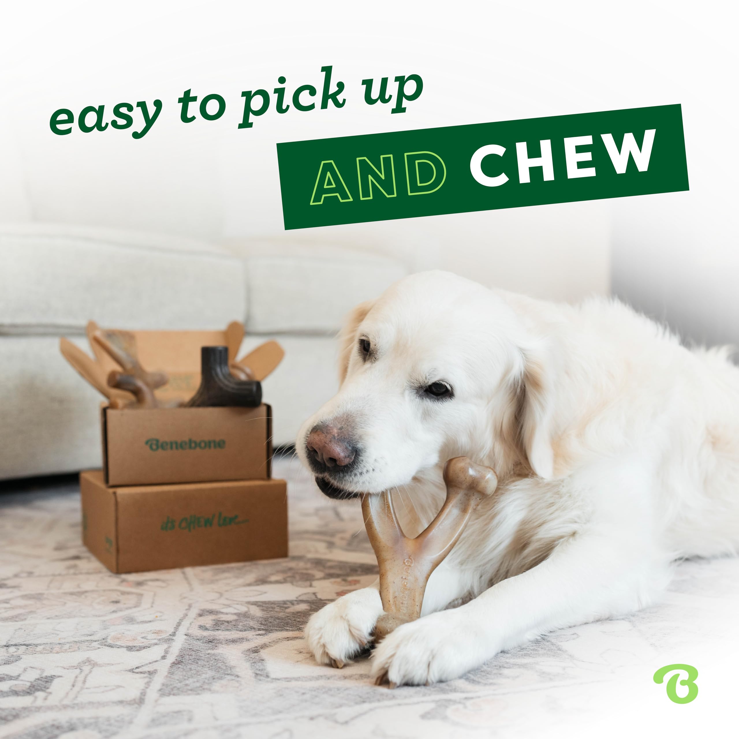 Benebone Indestructible Dog Chew Toy Gift Box - 4 Pack for Large Dogs up to 41kg 2