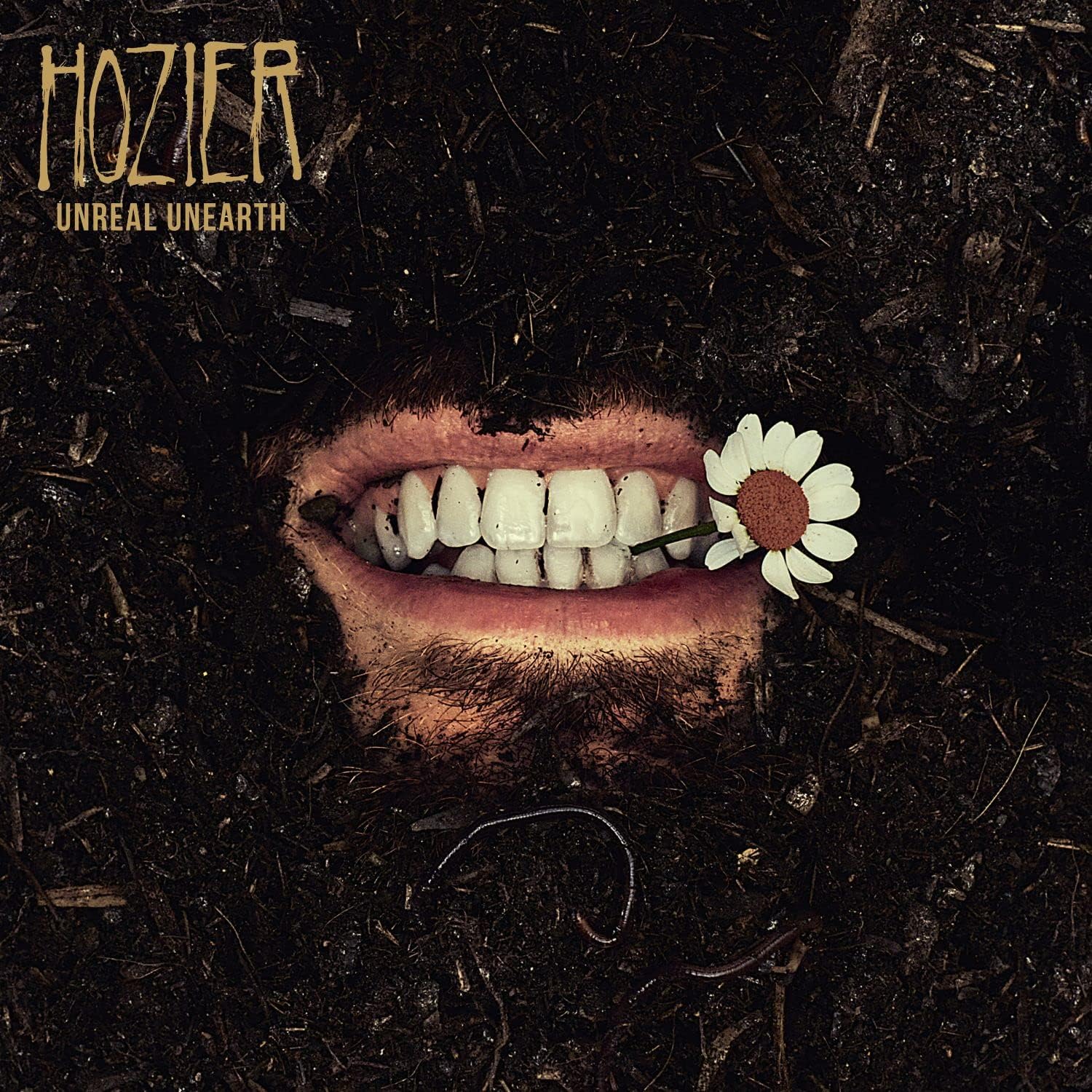 Hozier - Unreal Unearth Black 2LP Vinyl