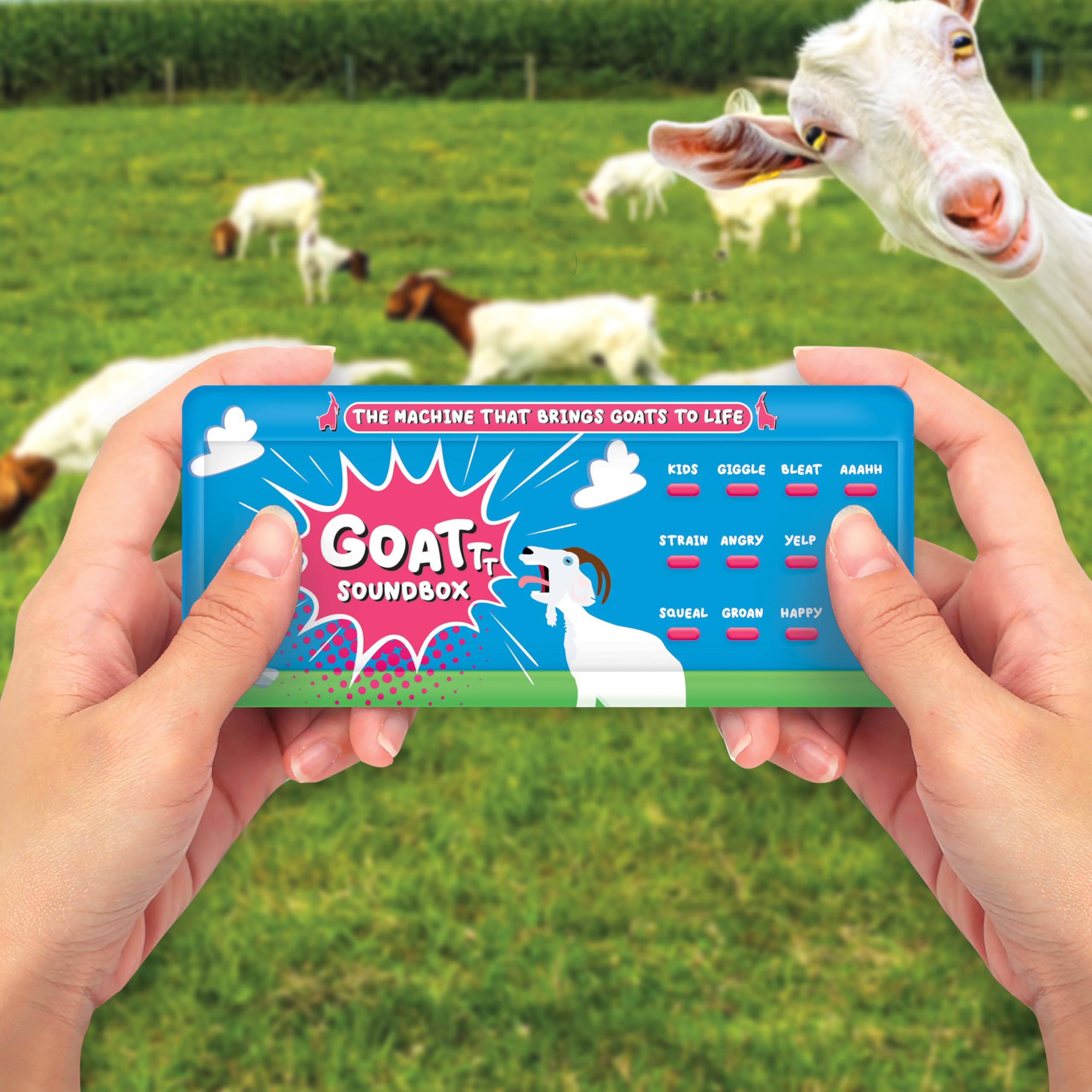 Gift Republic Goat Sound Box - 12 Hilarious Goat Sound Effects for Pranks & Laughter 4