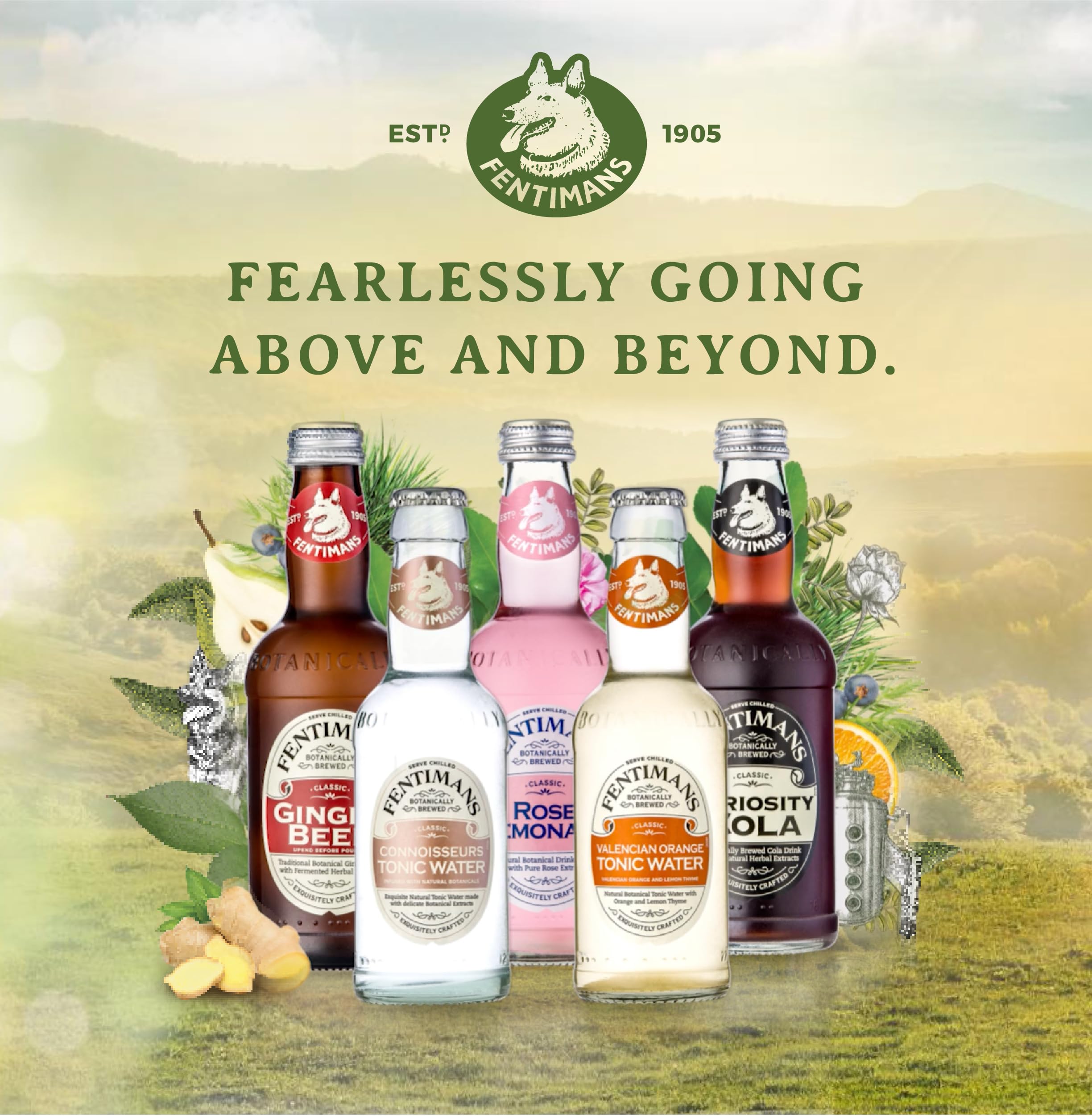 Fentimans Naturally Light Tonic Water - Botanically Brewed with Lemongrass & Citrus - 4 x 200ml 12