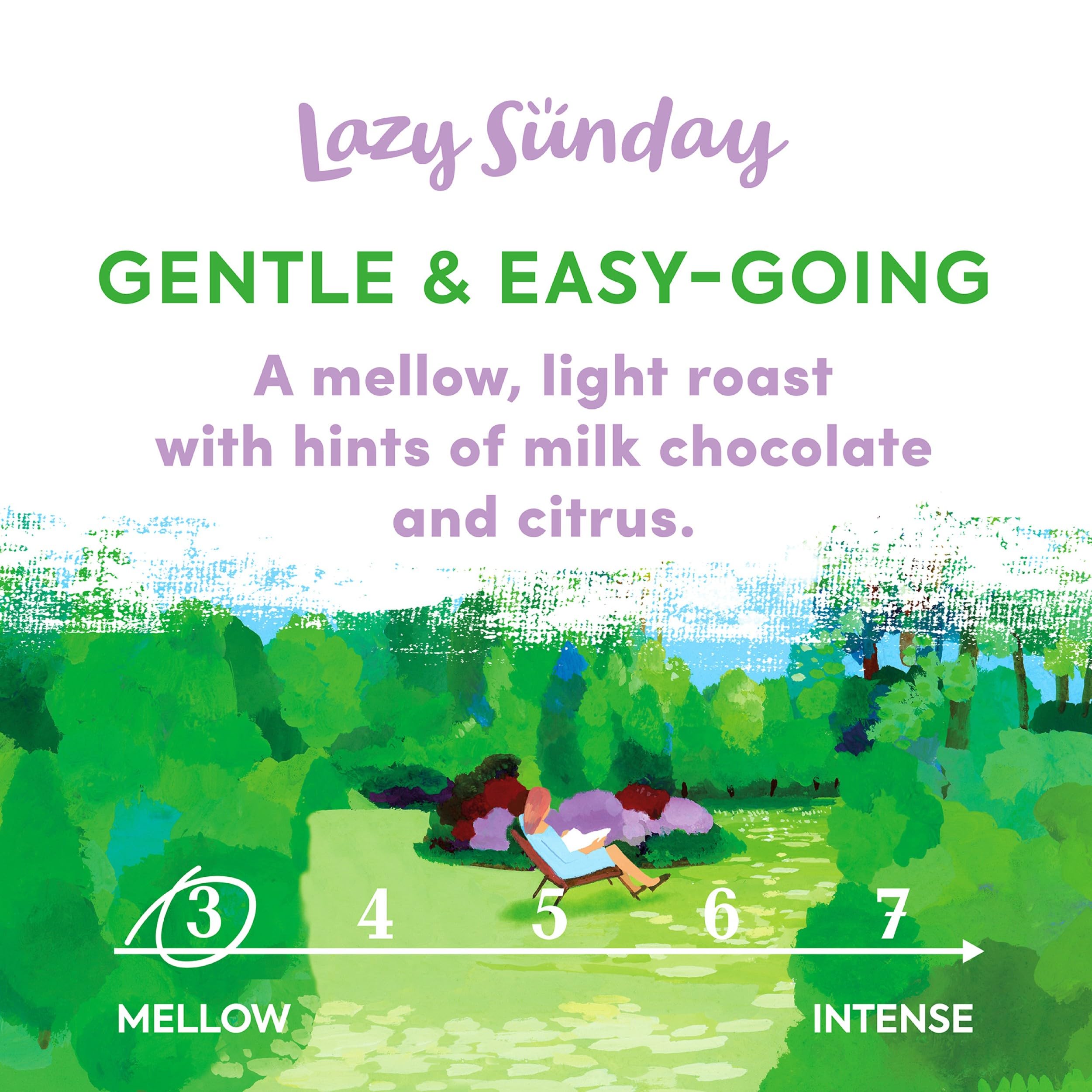 Taylors of Harrogate Lazy Sunday Roasted Whole Coffee Beans - 200g Bag (Pack of 6)