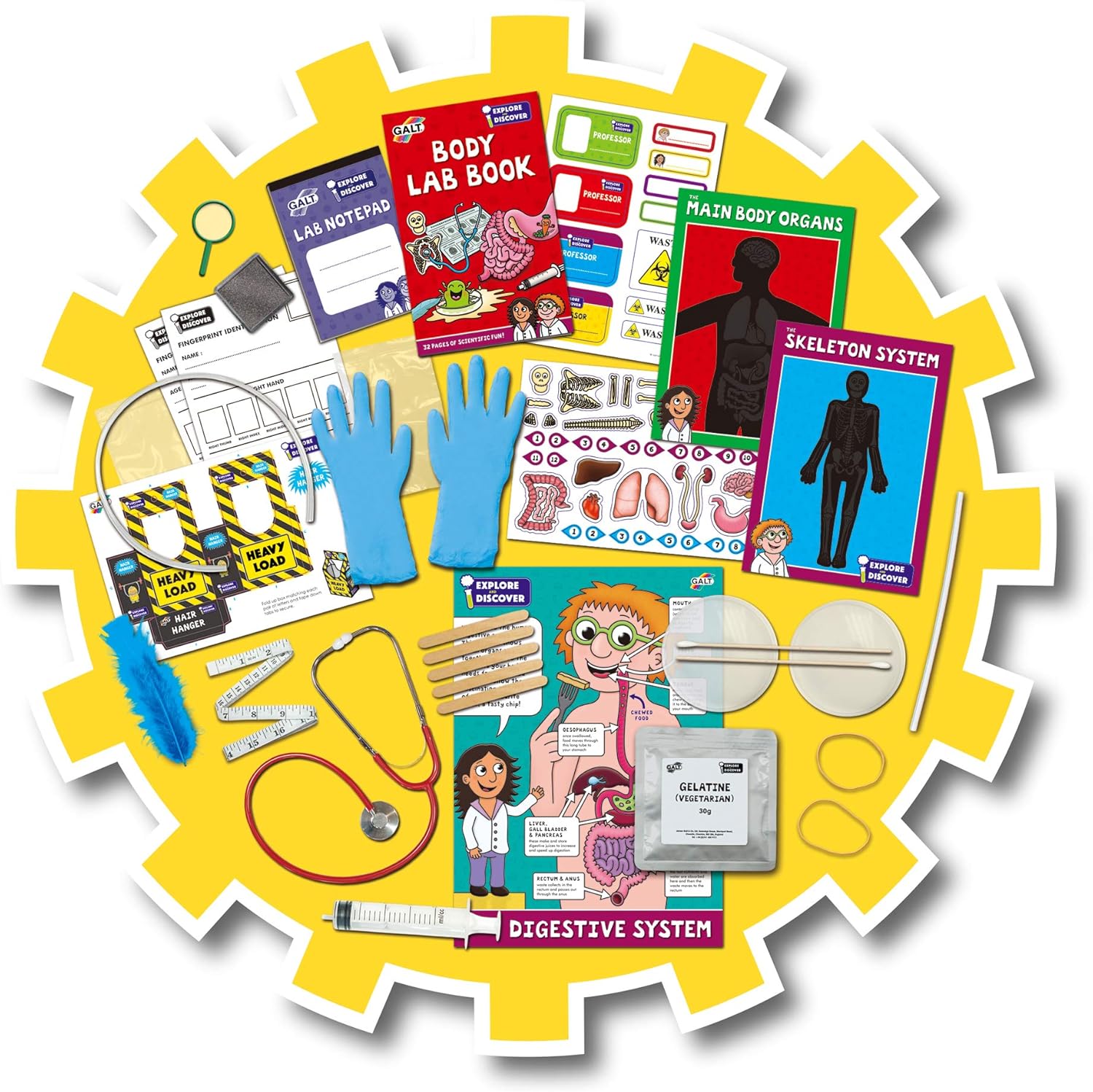 Galt Toys Body Lab - Biology Science Kit for Kids Ages 6-12 3