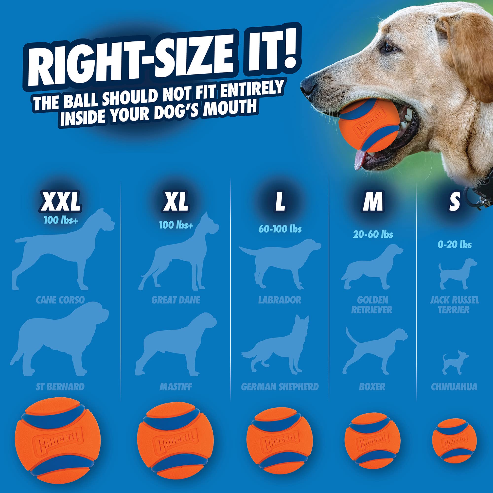 Chuckit! Ultra Ball - Durable High Bounce Rubber Dog Toy | Launcher Compatible | Small Size, 2 Pack 6