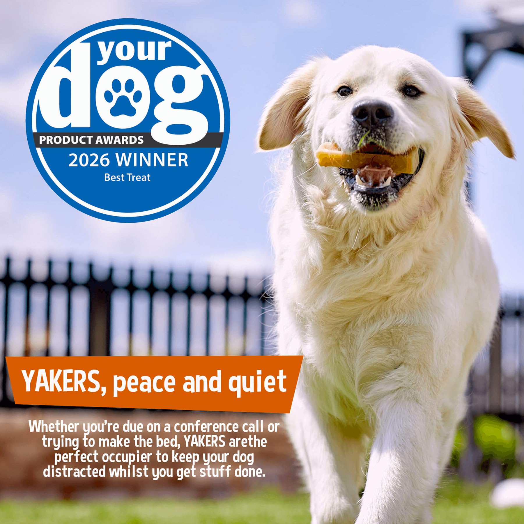 Yakers Blueberry Dog Chew Extra Large | 140g Pack of 1 | All Breeds 6