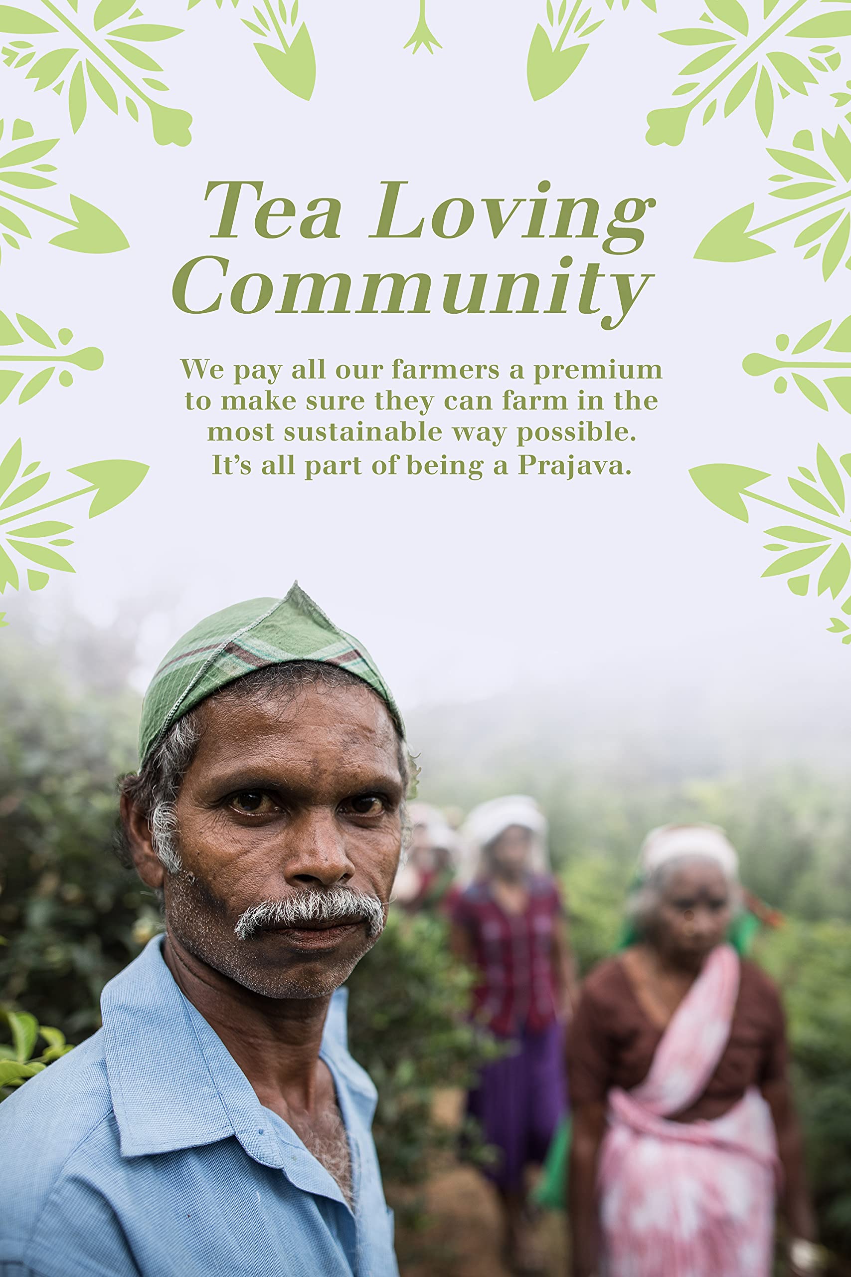 English Tea Shop Organic Luxury Gift Tin - 72 Tea Bags, 6 Varieties, Compostable Packaging 6