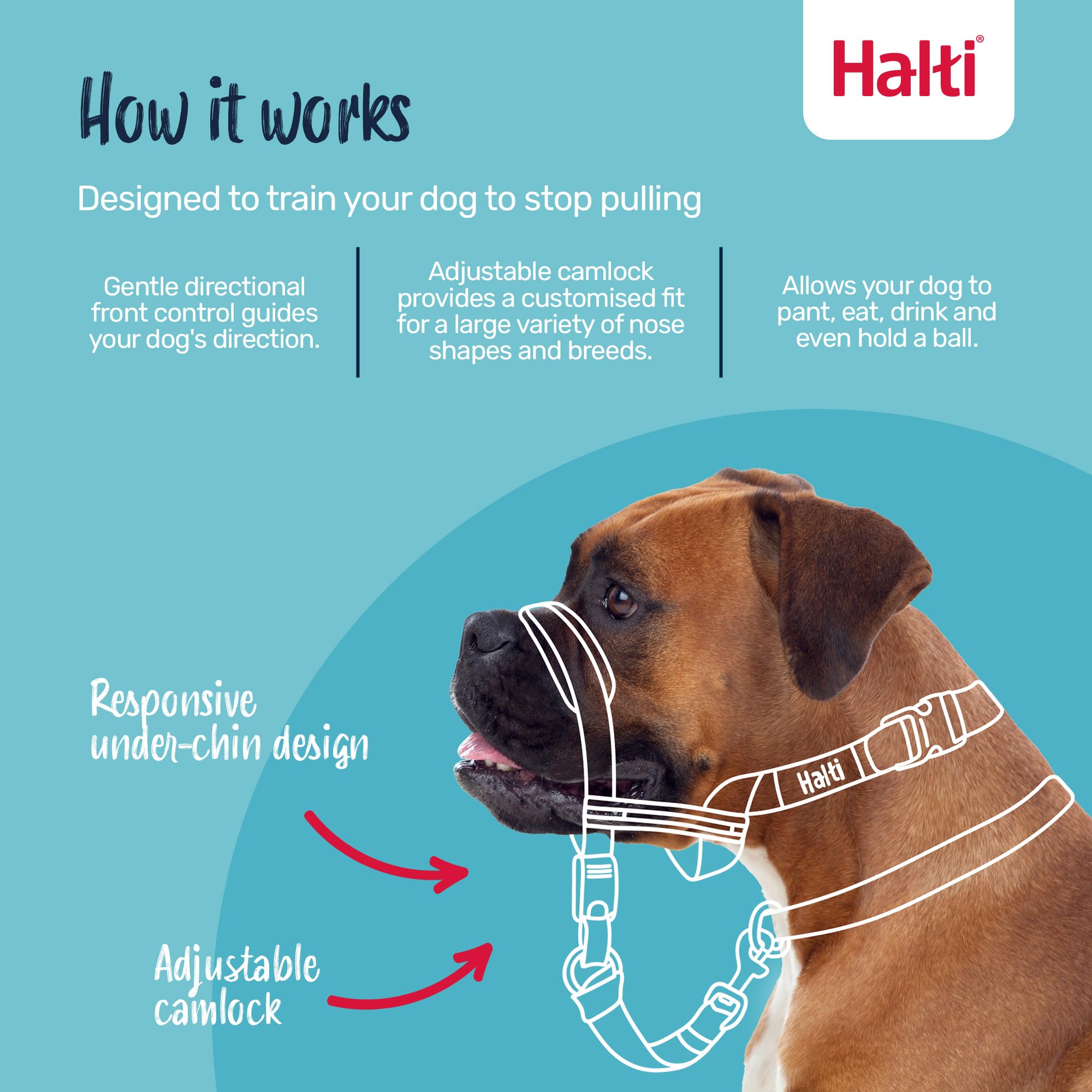 Halti Optifit Headcollar - Stops Pulling, Adjustable Fit for Dogs | Medium, Black