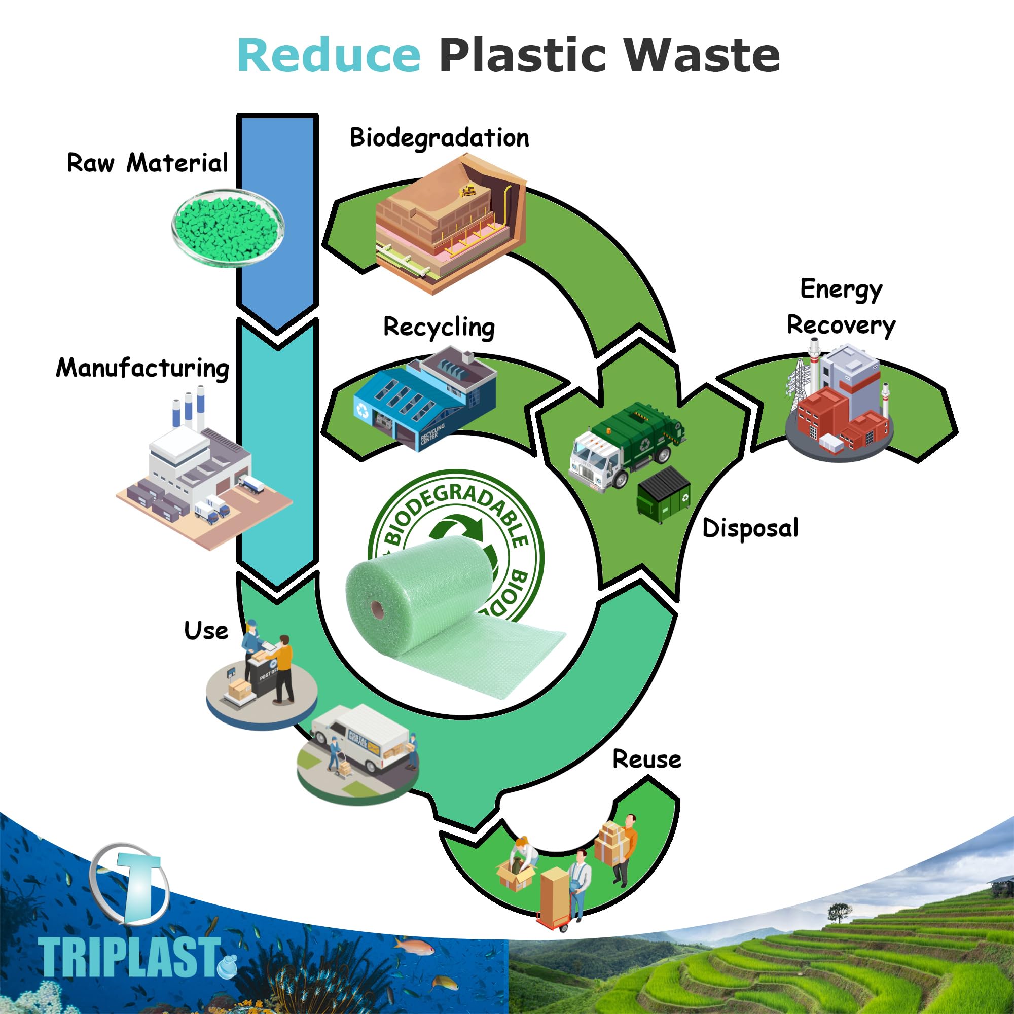 Triplast Biodegradable Green Bubble Wrap Roll - 300mm x 10m | Small 10mm Bubbles | Recyclable LDPE 2