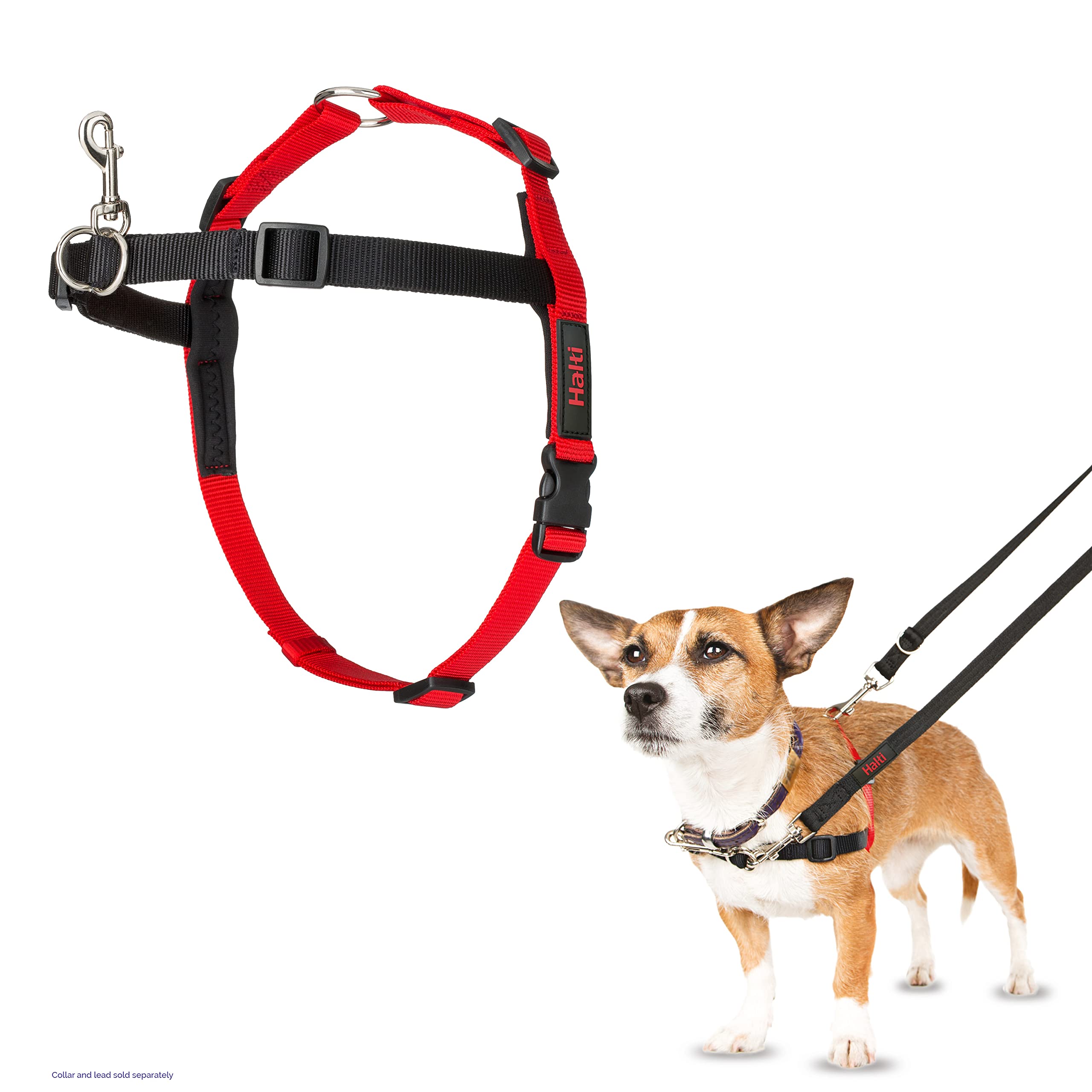 Halti Front Control Dog Harness - Stops Pulling | Size Small (Chest 36-64 cm) | Neoprene Nylon