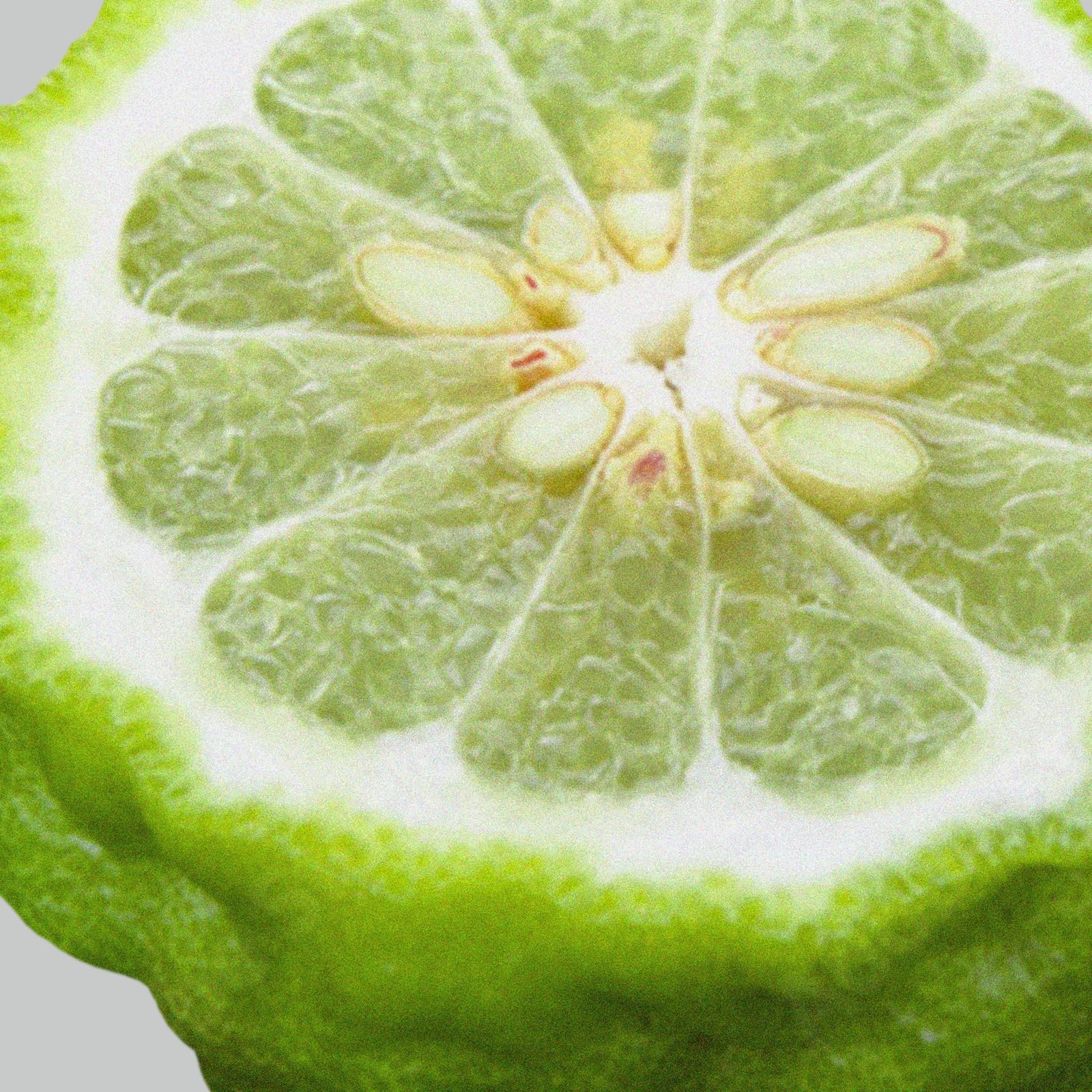 The Lab Co. - Laundry Detergent Strips Sheets 32 Loads Eco Ultra-Concentrated 9