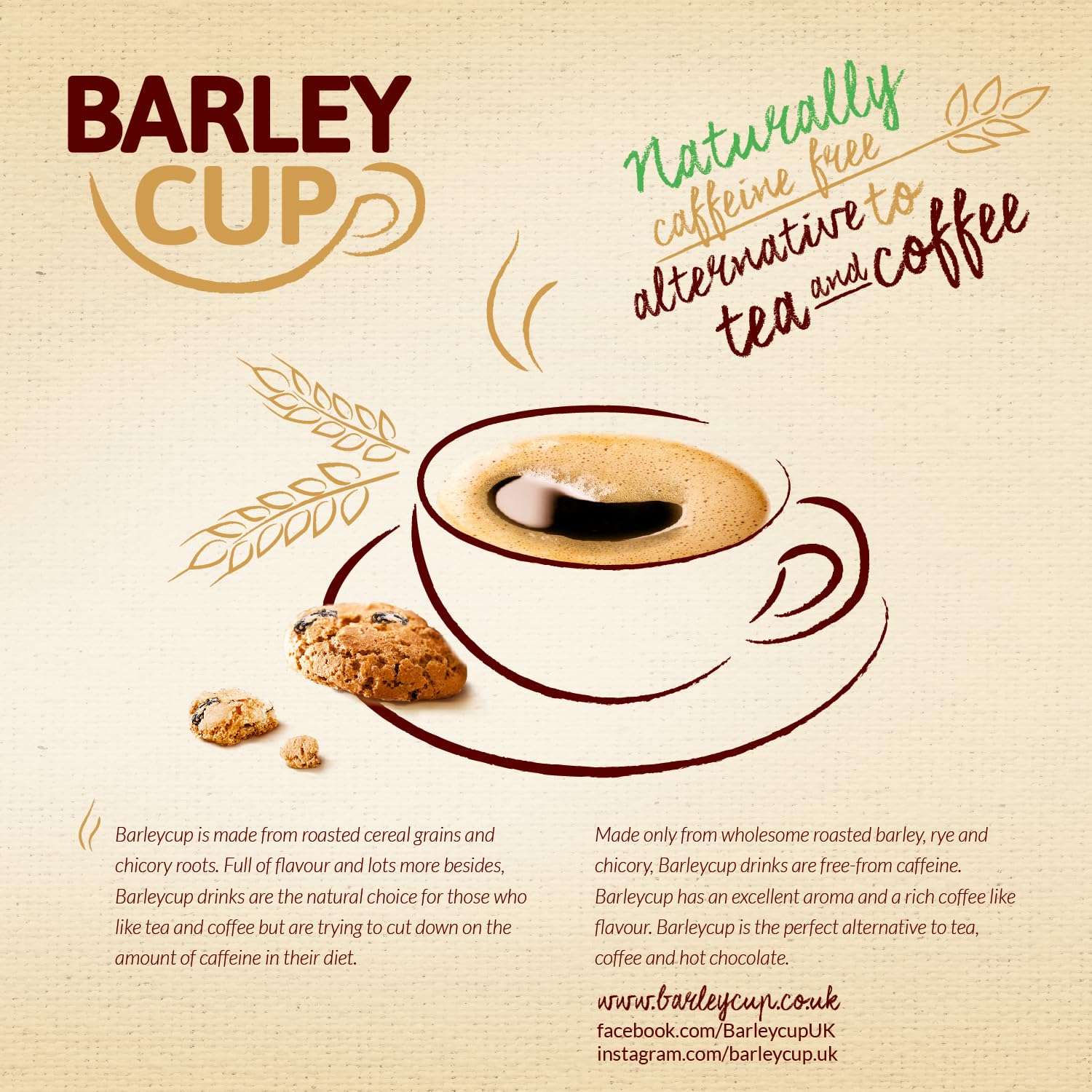Barleycup Fibre Instant Grain Beverage 100g - High Fibre, Caffeine-Free Coffee Substitute 6