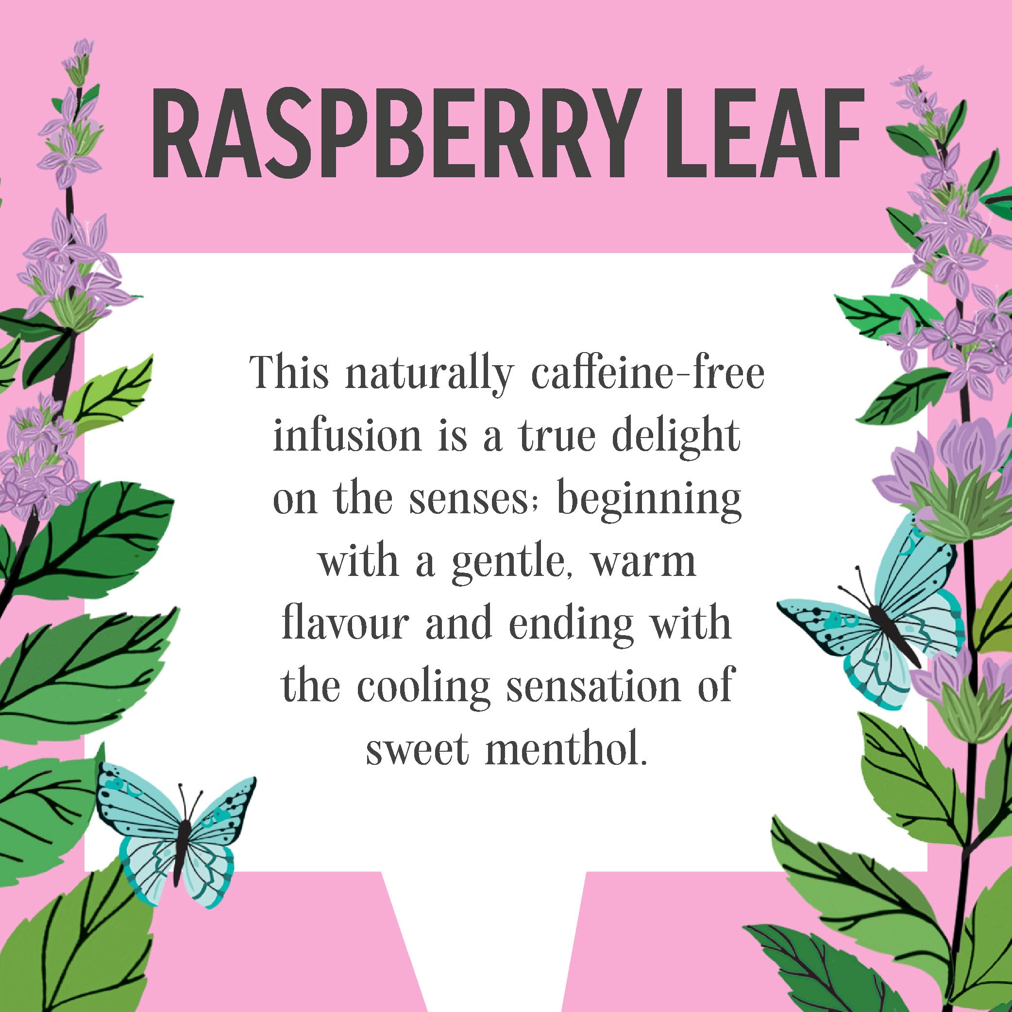 Heath & Heather Organic Raspberry Leaf Teabags (6 Packs of 20, 120 Total) Individually Wrapped Caffeine-Free Herbal Tea 7