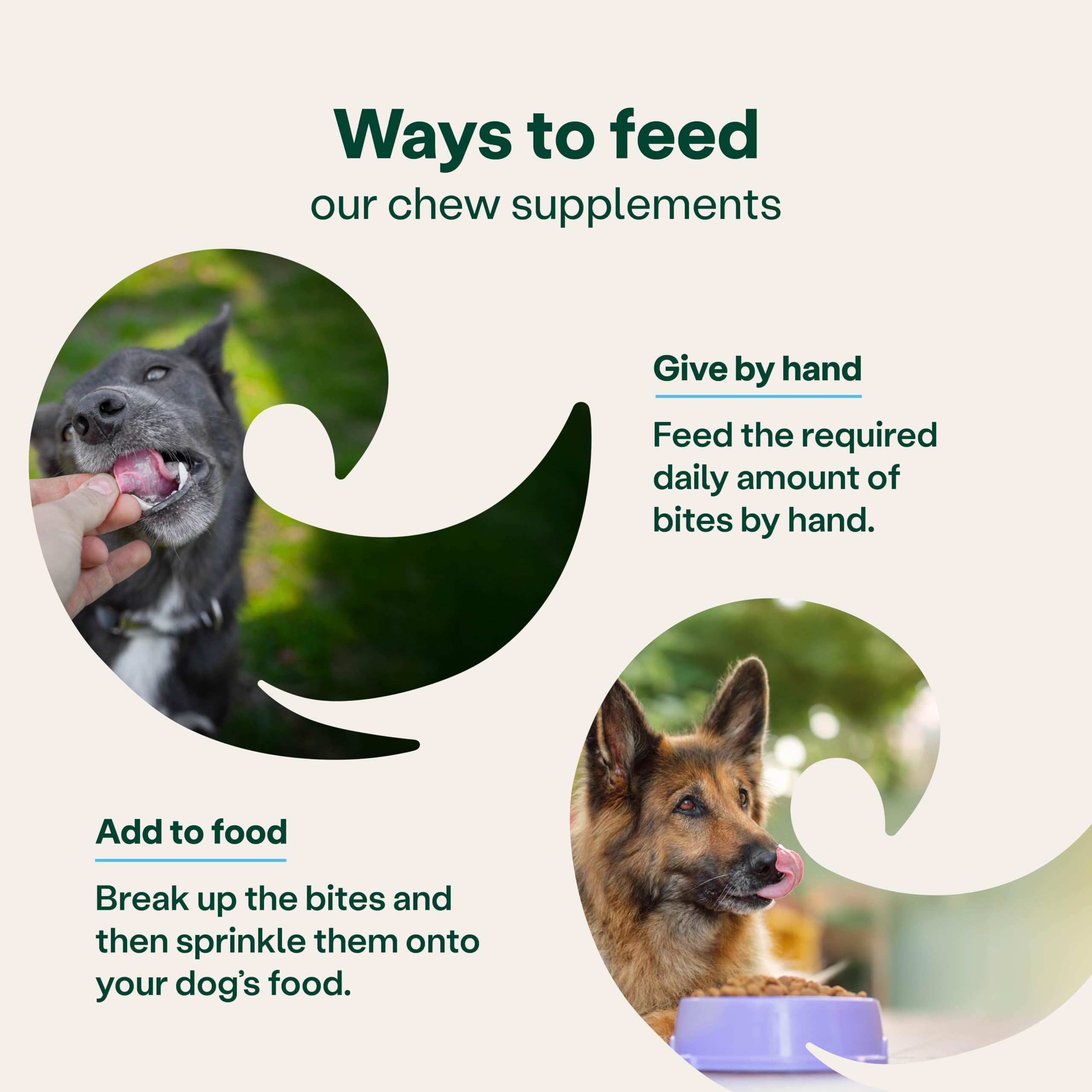 YuMOVE Itch & Immunity Dog Supplement - 60 Bites for Sensitive Skin & Immune Support 5