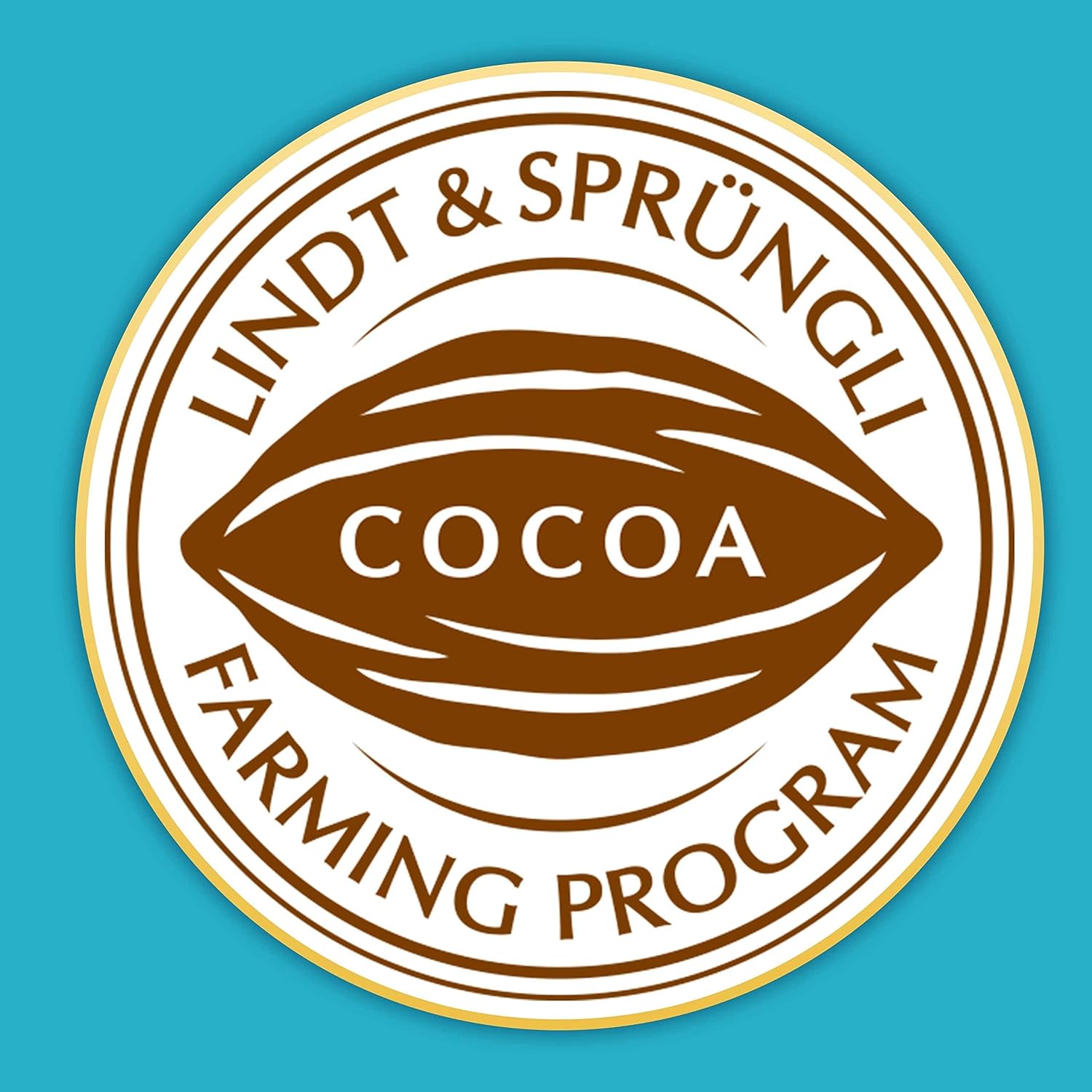 Lindt Lindor Salted Caramel Milk Chocolate Truffles - 200g Gift Box (Approx 16 Truffles) 6