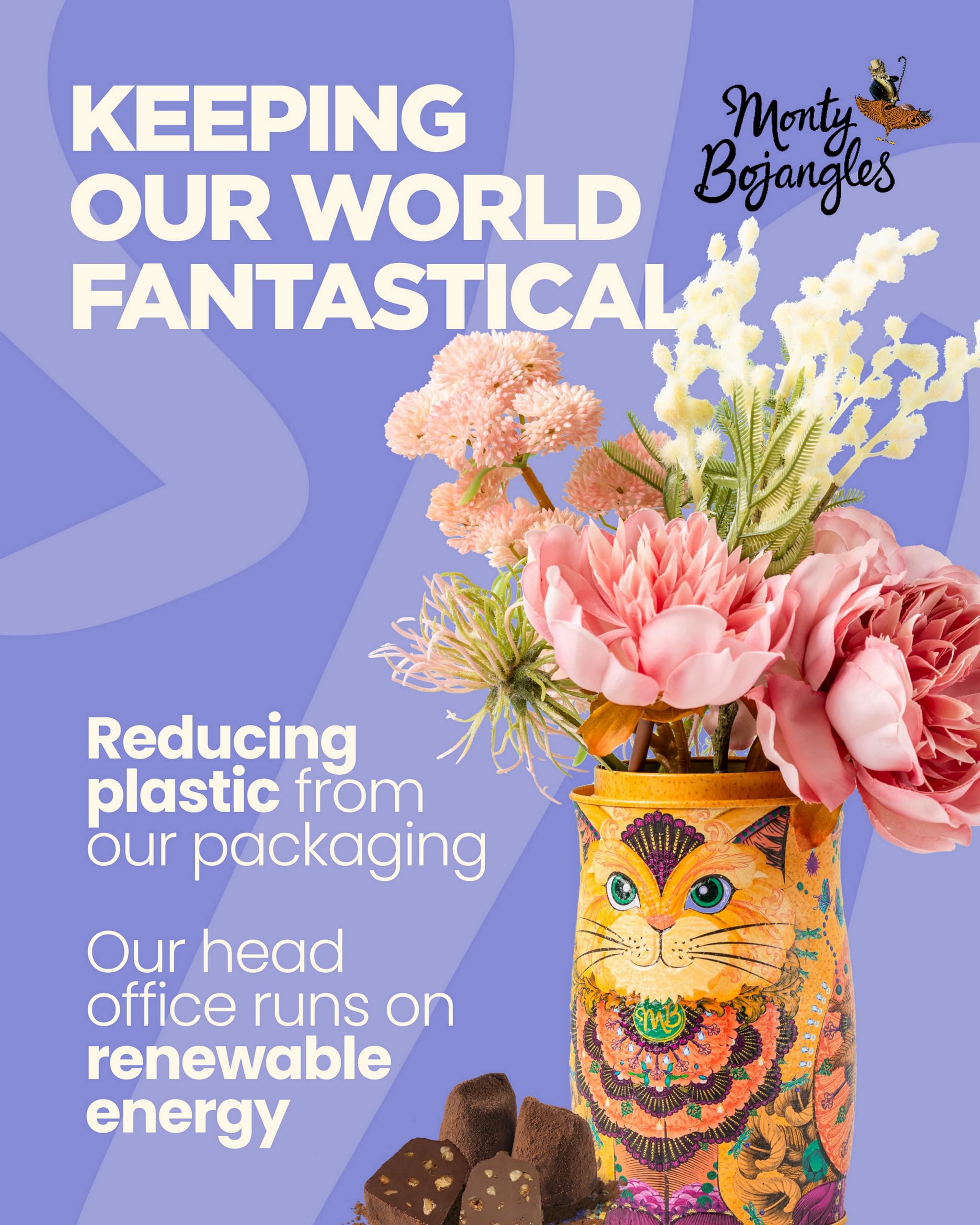 Monty Bojangles Choccy Scoffy Cat Tin - Cocoa Dusted Chocolate Truffles, Persian Pink Cat 10