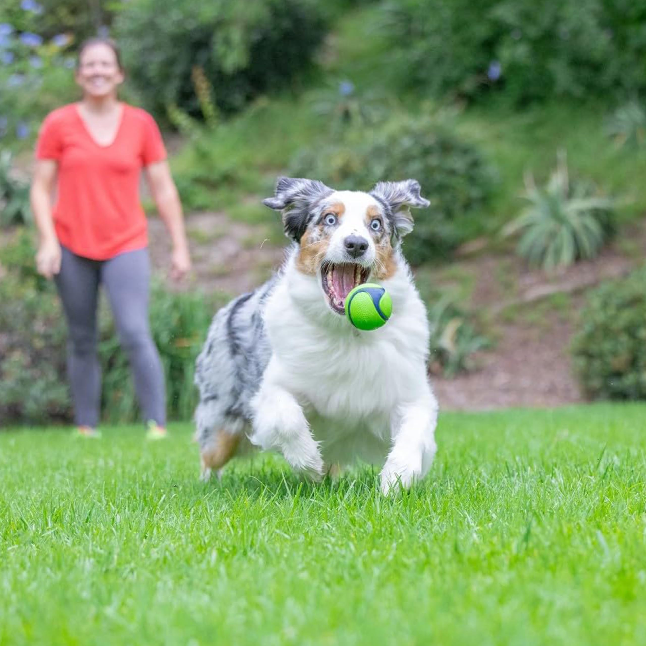 Chuckit! Scented Dog Ball - Peanut Butter Flavor | Medium Size | Launcher Compatible | Blue/Orange 2