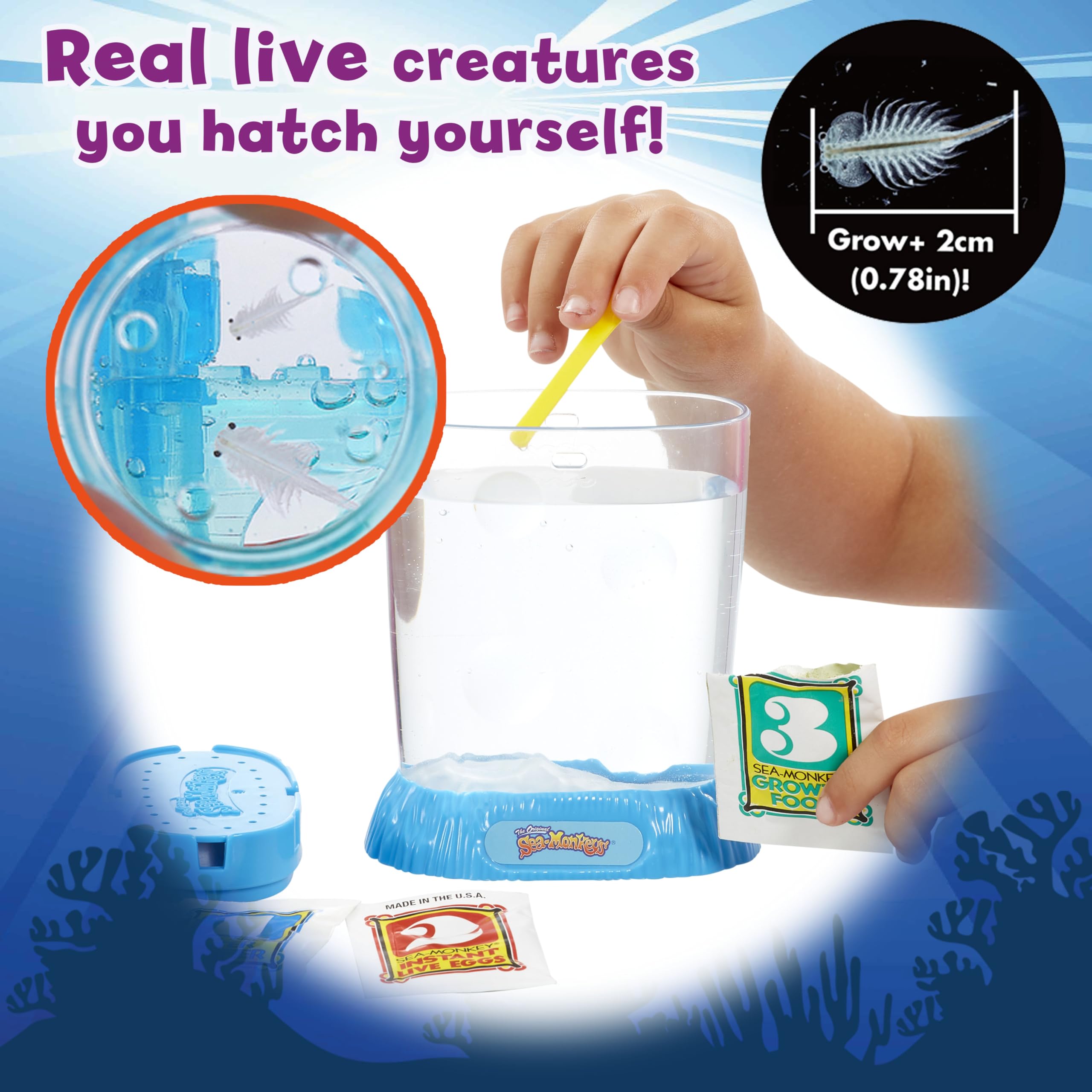 Sea Monkeys Ocean Zoo - Educational Science Kit for Kids 5-10 5