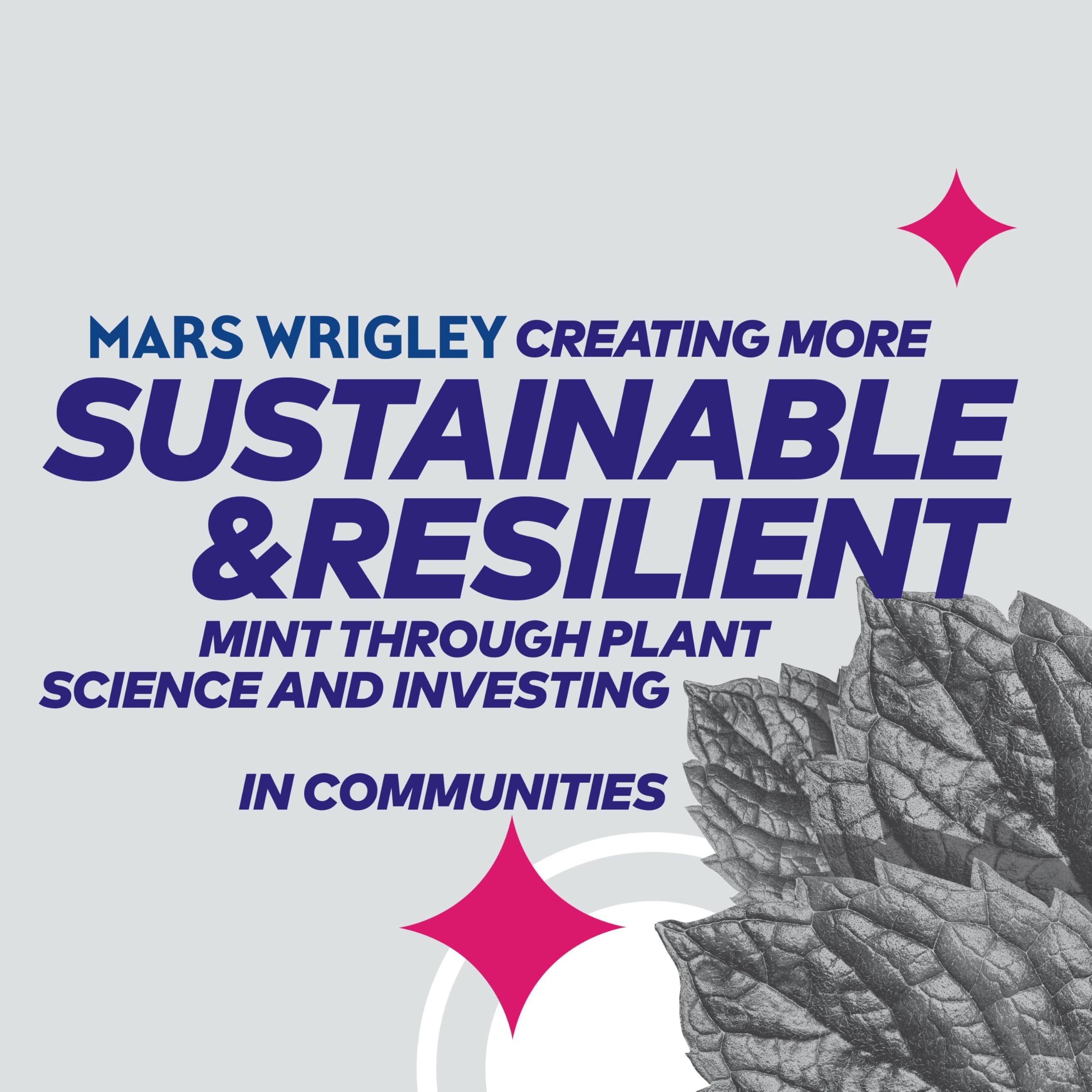 Extra - White Bubblemint Chewing Gum (46 Pieces, Sugar Free with Xylitol) 9