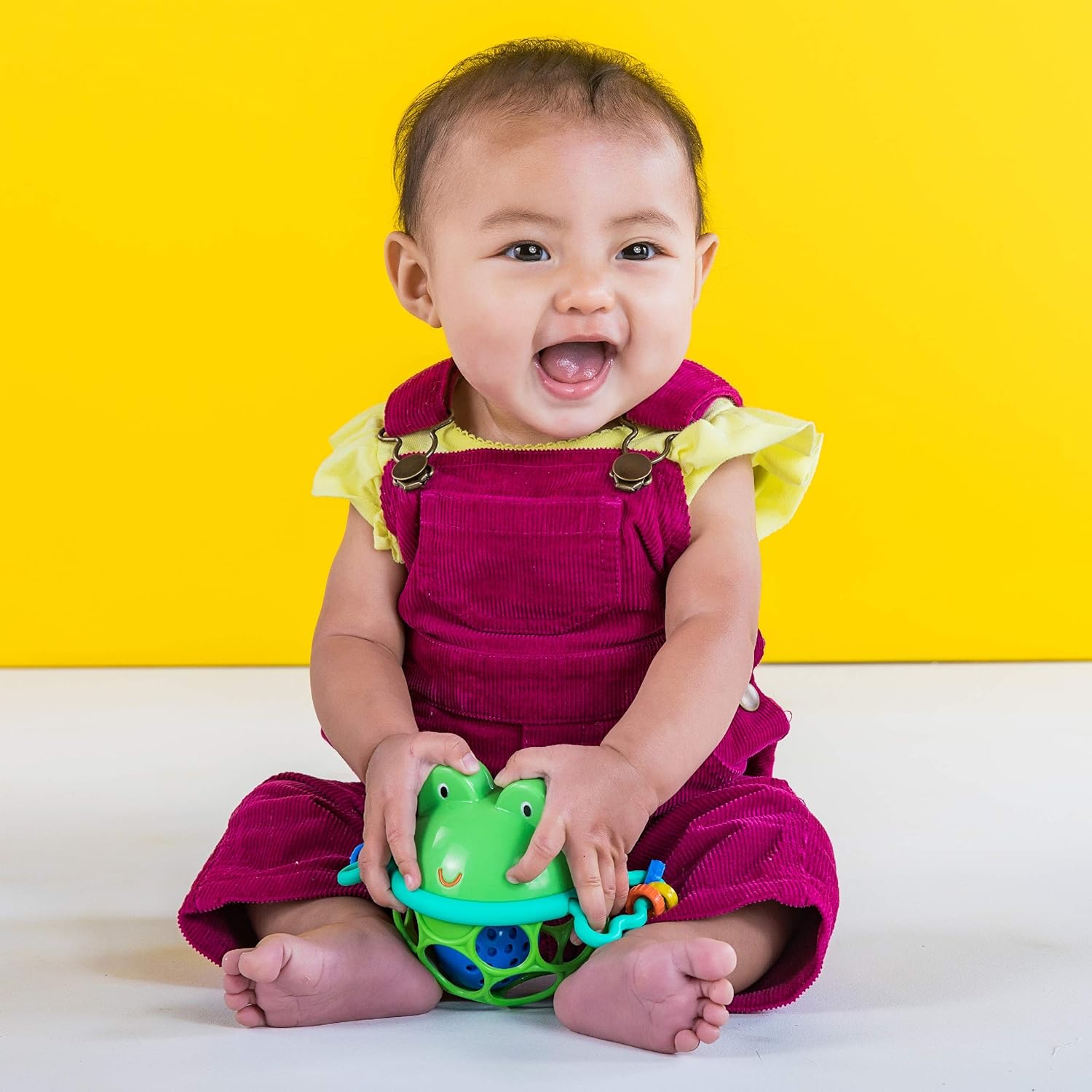 Oball Jingle & Shake Pal Frog Rattle Toy for Babies 8