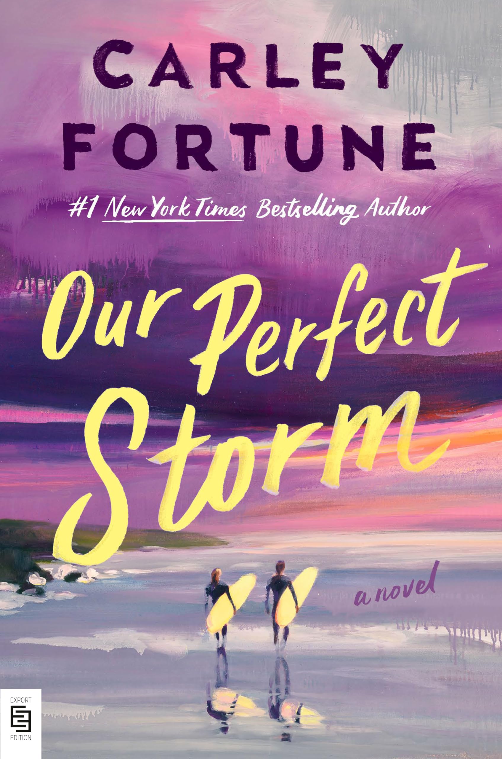Berkley Our Perfect Storm - Literary Fiction | Paperback | English 1