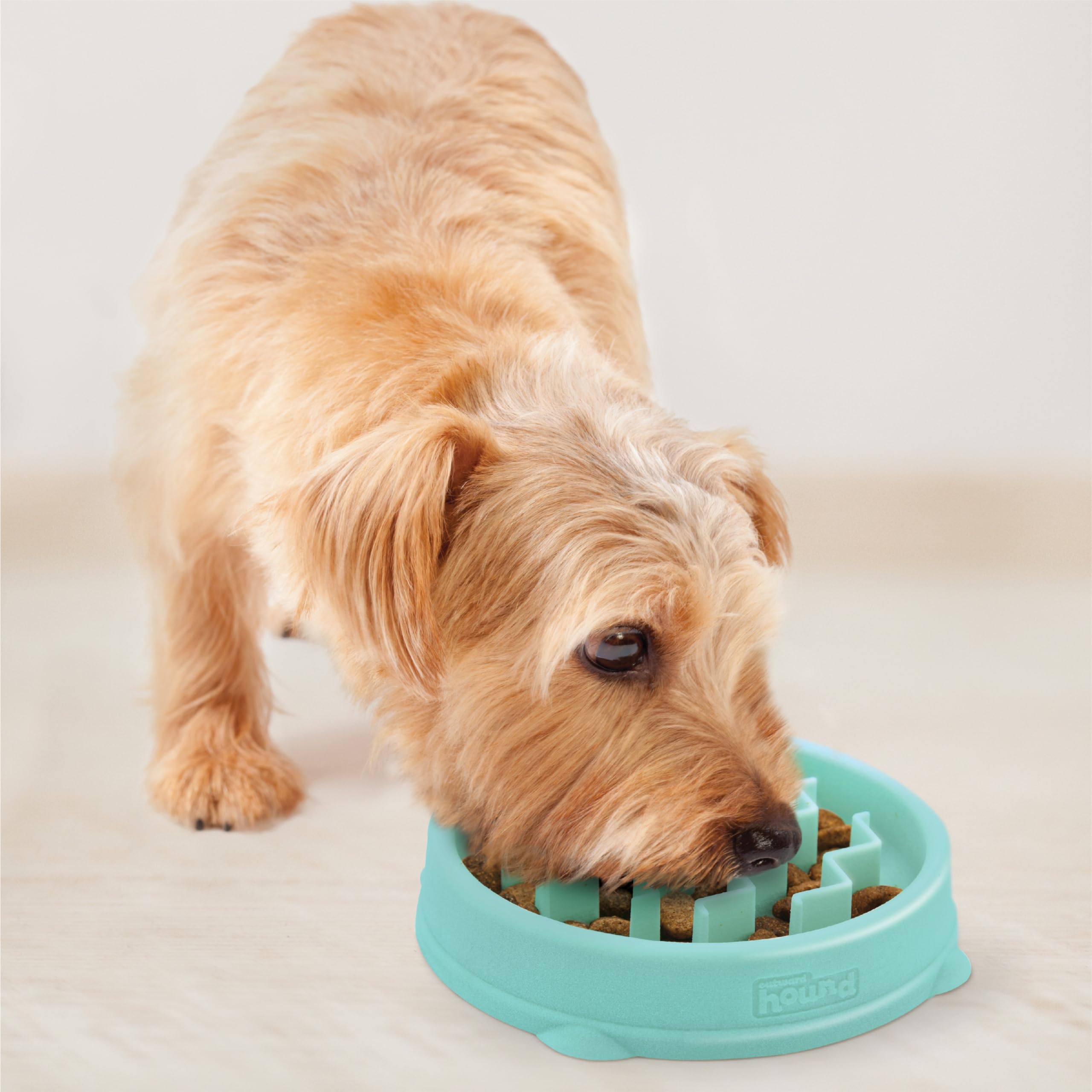Outward Hound Puppy Slow Feeder Dog Bowl - Mint Small Size | BPA-Free, Dishwasher Safe 6