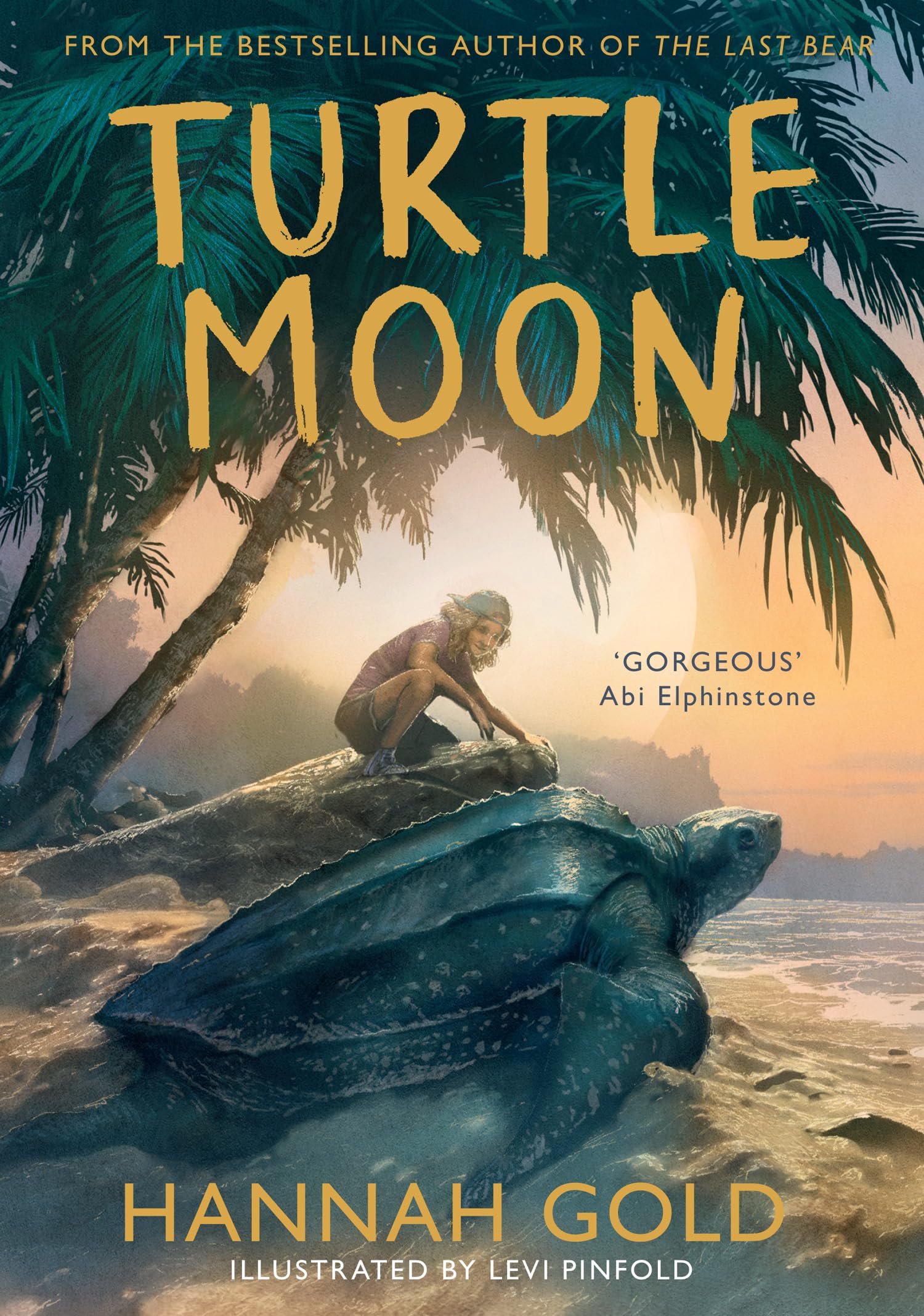 Hannah Gold - Turtle Moon | Illustrated Animal Adventure | Ages 8-11 | Paperback