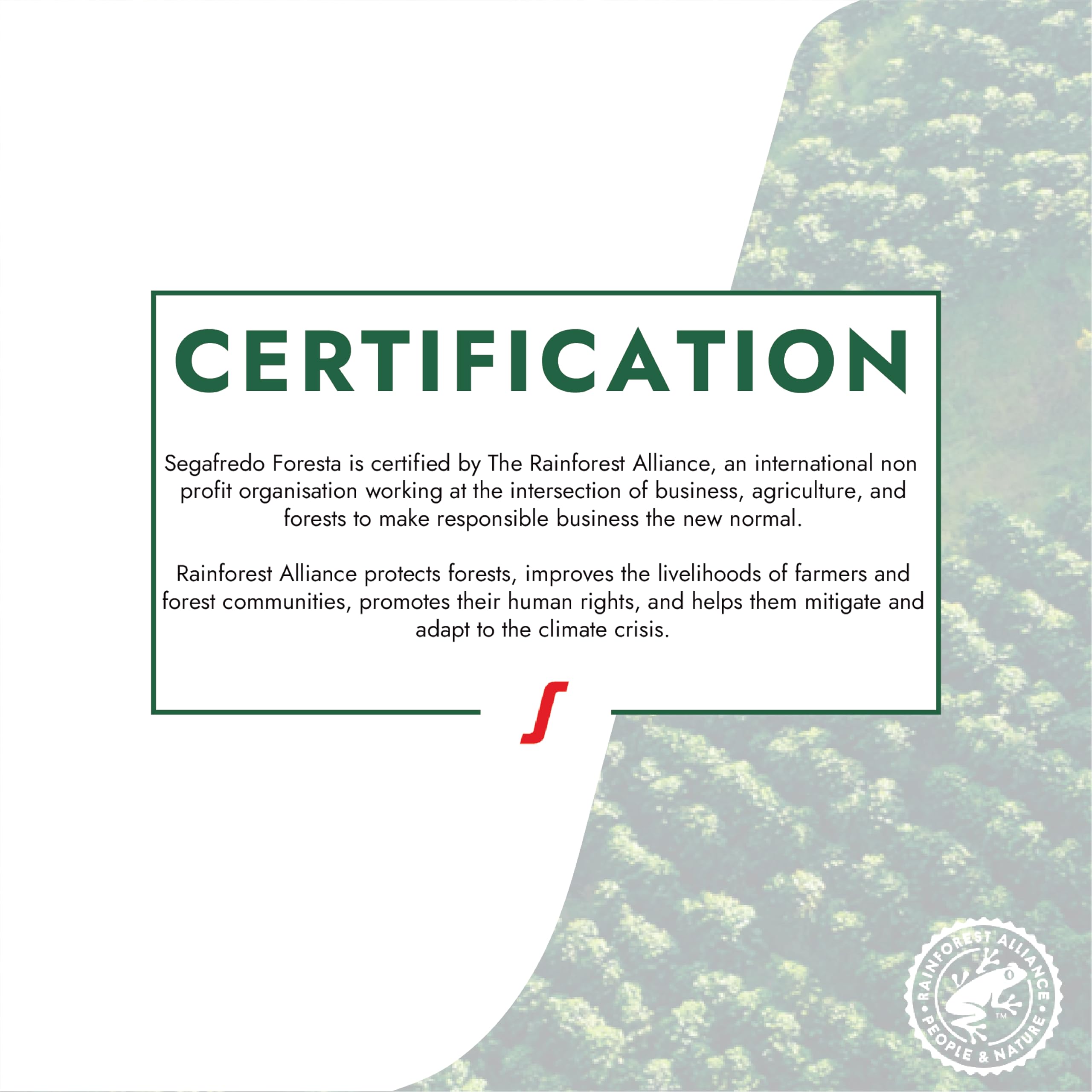 Segafredo Zanetti FORESTA Rainforest Alliance Certified Coffee Beans - 1kg Whole Bean 5