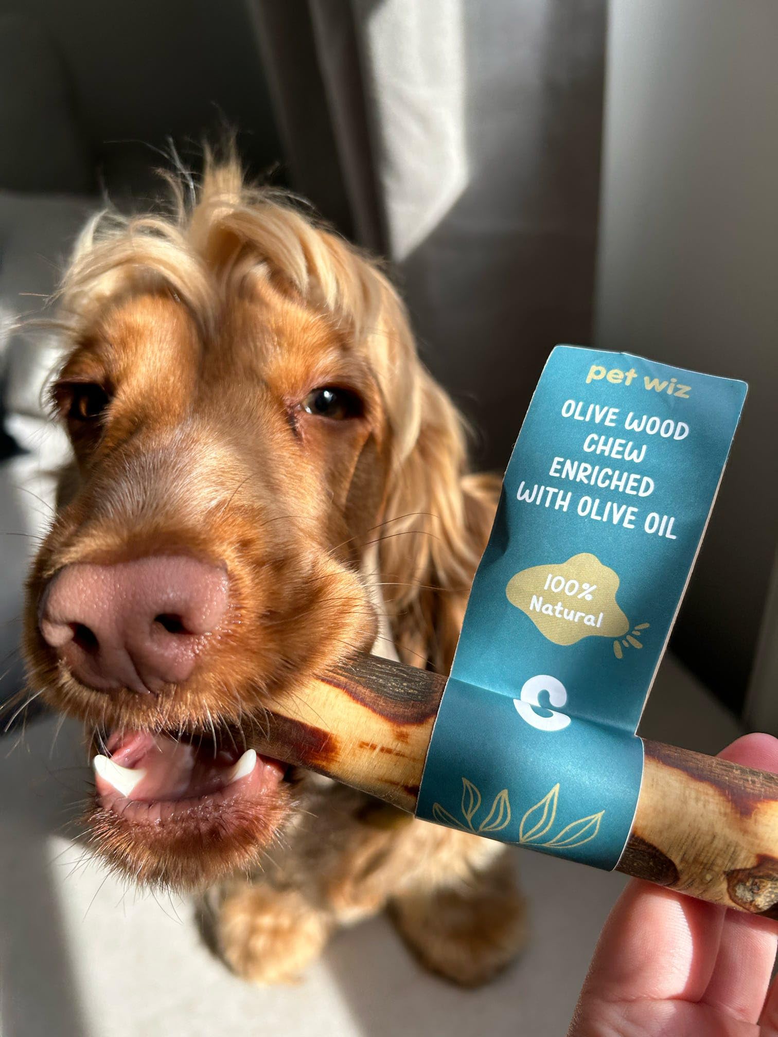 pet wiz Olive Wood Dog Chew Toy - Oral Hygiene Aid | Hypoallergenic | Medium Size 2