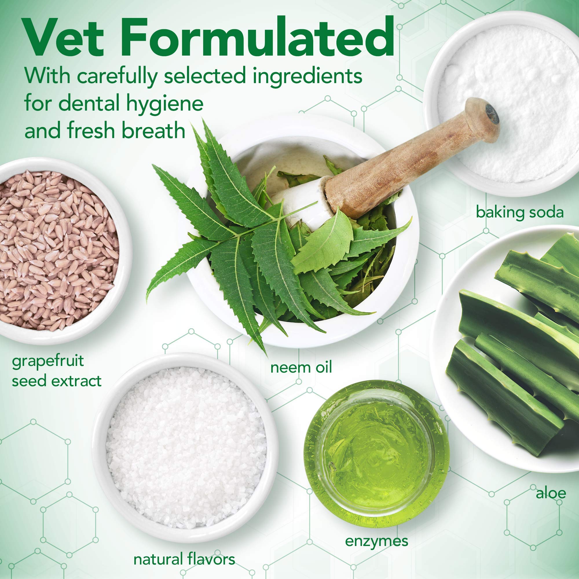 Vet's Best Dental Gel Toothpaste for Dogs - Reduces Plaque & Freshens Breath | 100g 2