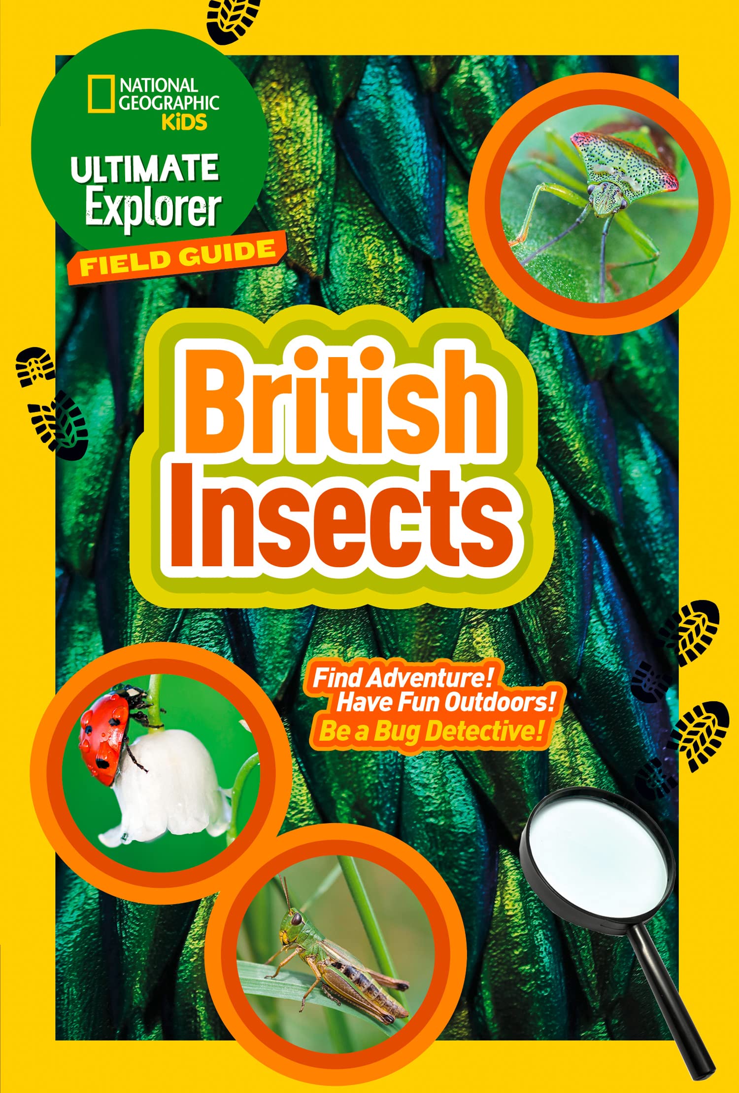 National Geographic Kids Ultimate Explorer Field Guides British Insects | Paperback | English/Polish